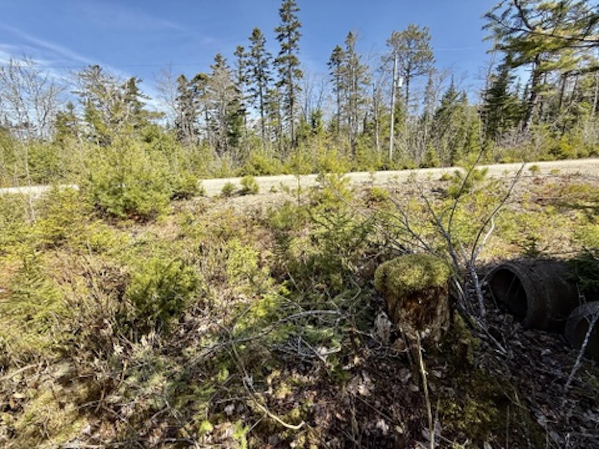 $52,900.00: Lot 32 Dynasty Court, Sherwood