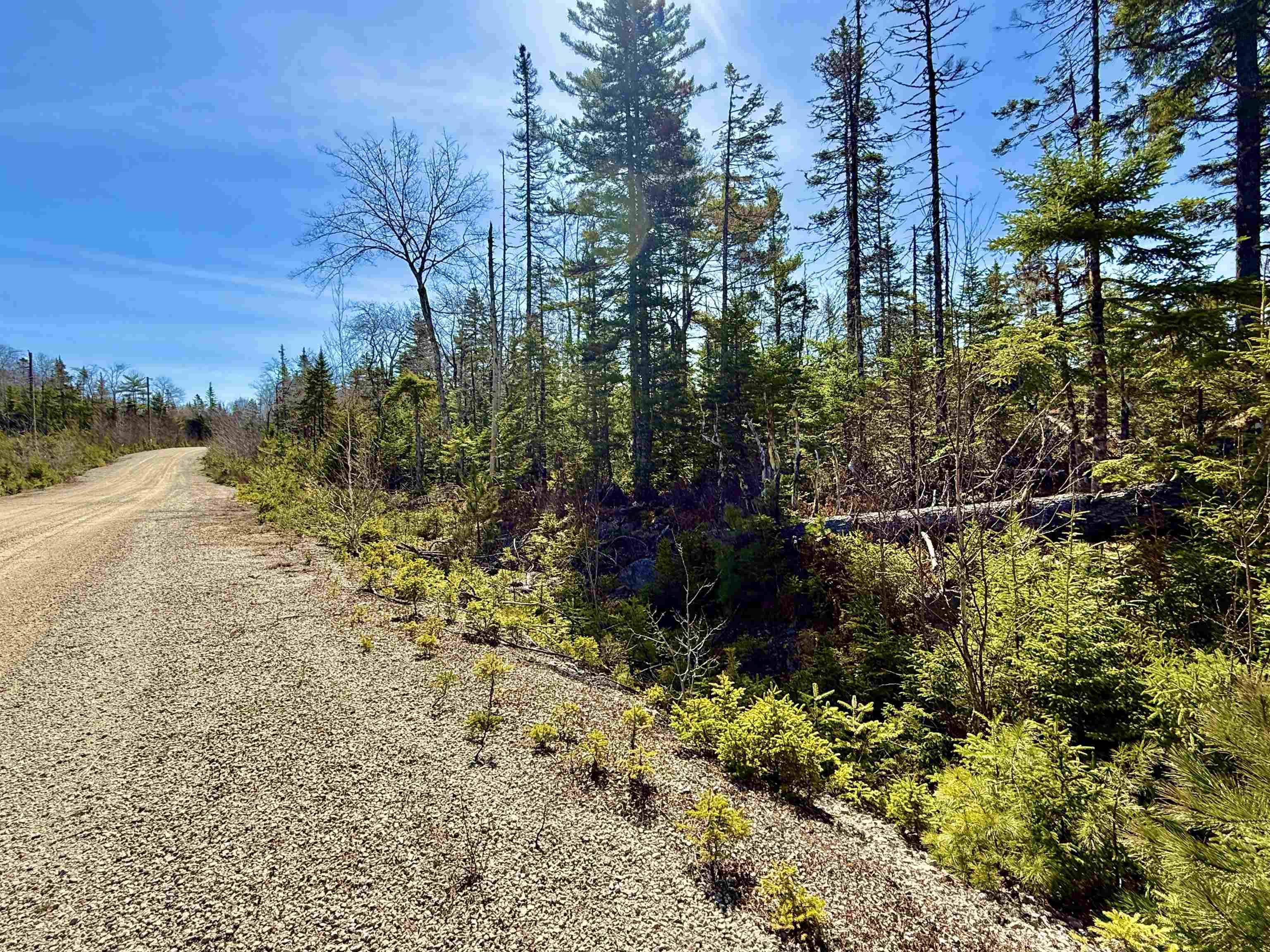 $52,900.00: Lot 32 Dynasty Court, Sherwood
