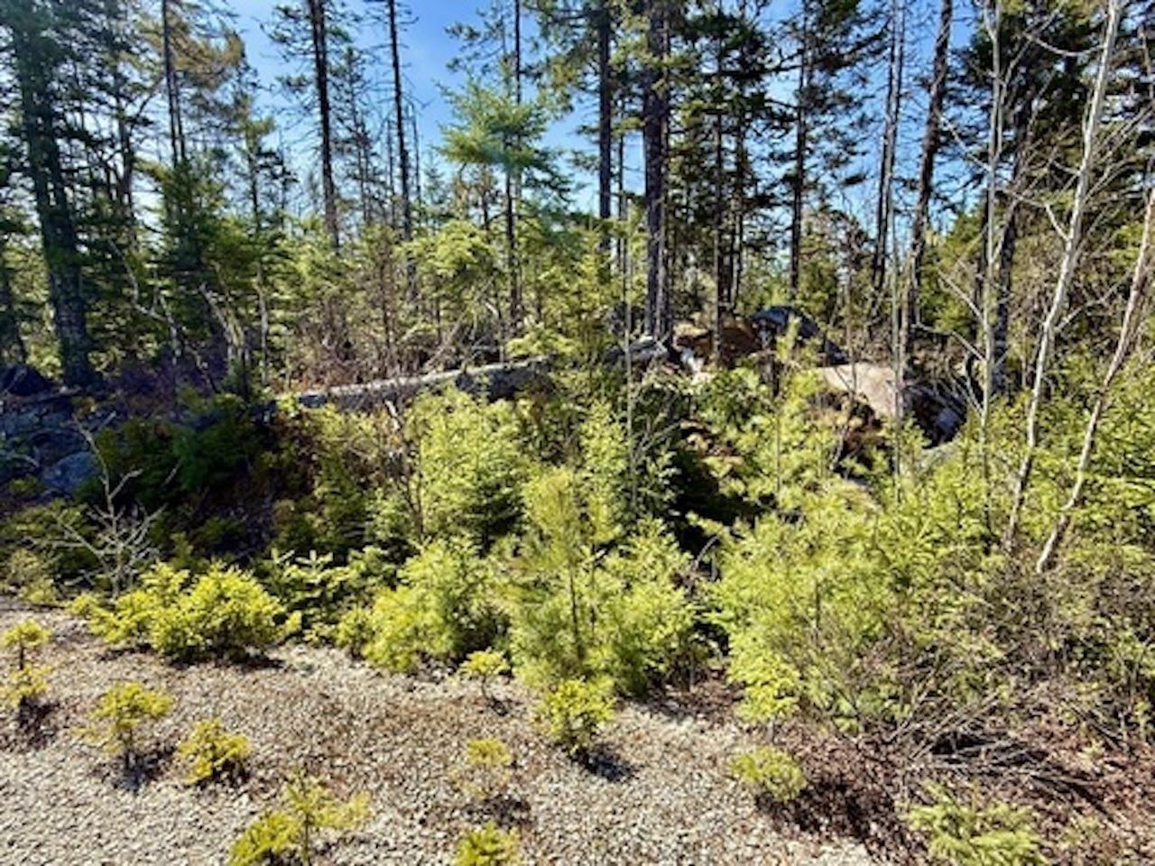 $52,900.00: Lot 32 Dynasty Court, Sherwood
