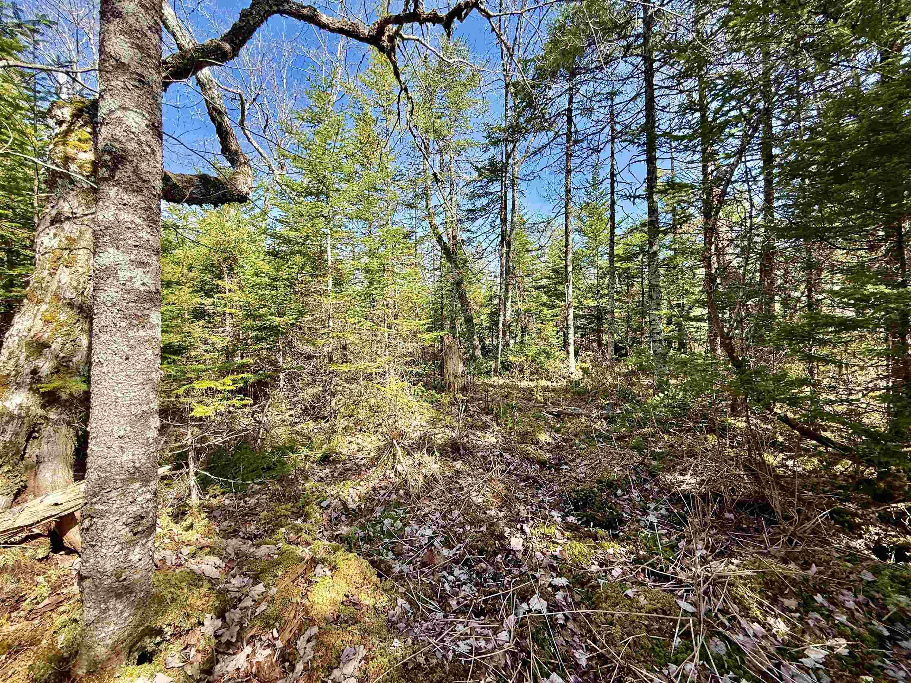 $52,900.00: Lot 32 Dynasty Court, Sherwood