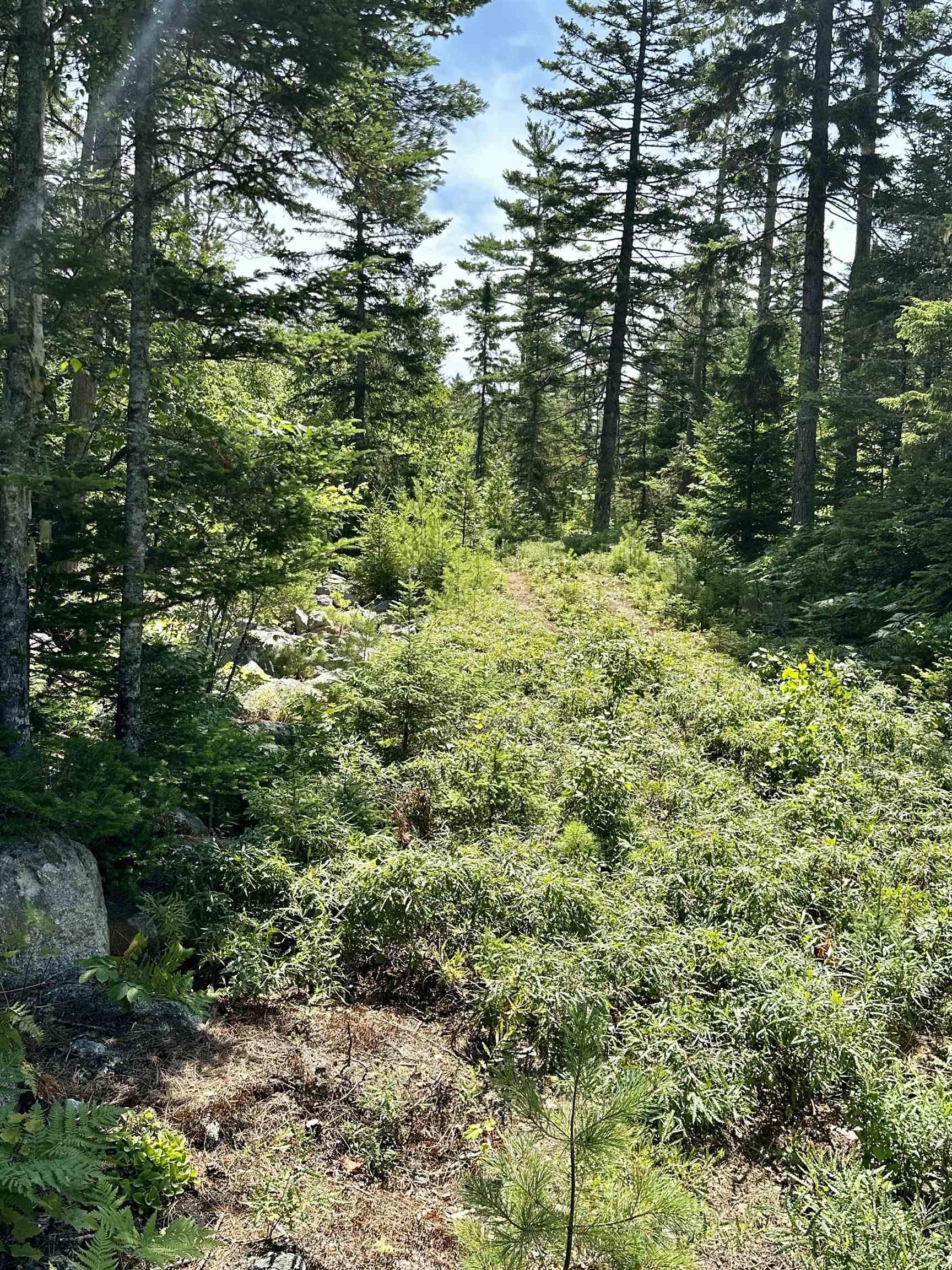 $52,900.00: Lot 32 Dynasty Court, Sherwood