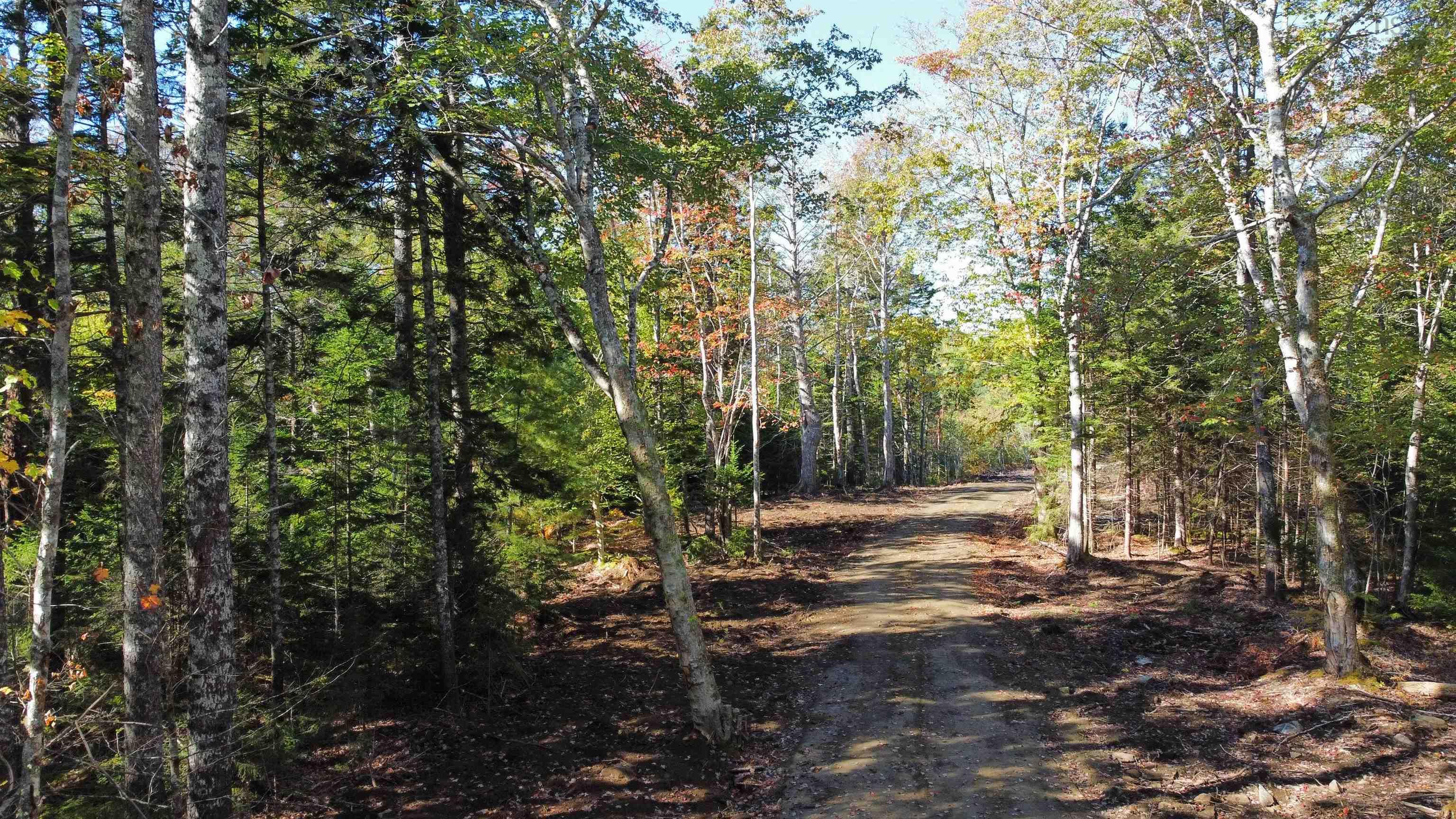 $395,000.00: Lot Highway 308, Bell Neck