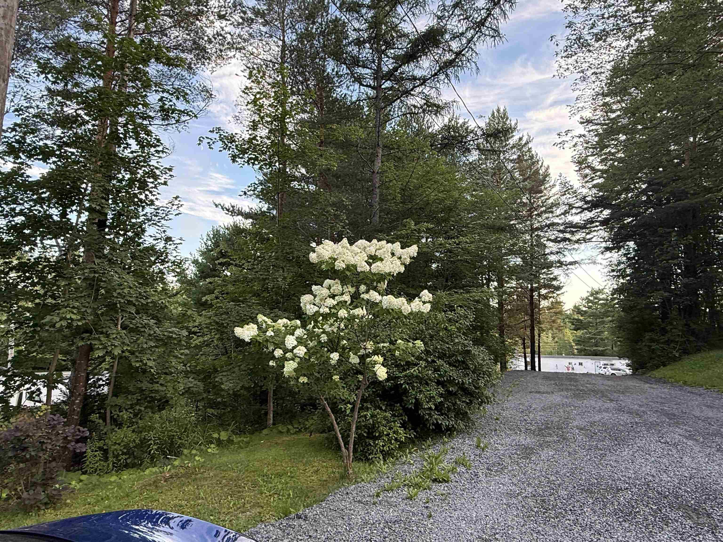 $489,900.00: 14 7101 Highway 14, Nine Mile River