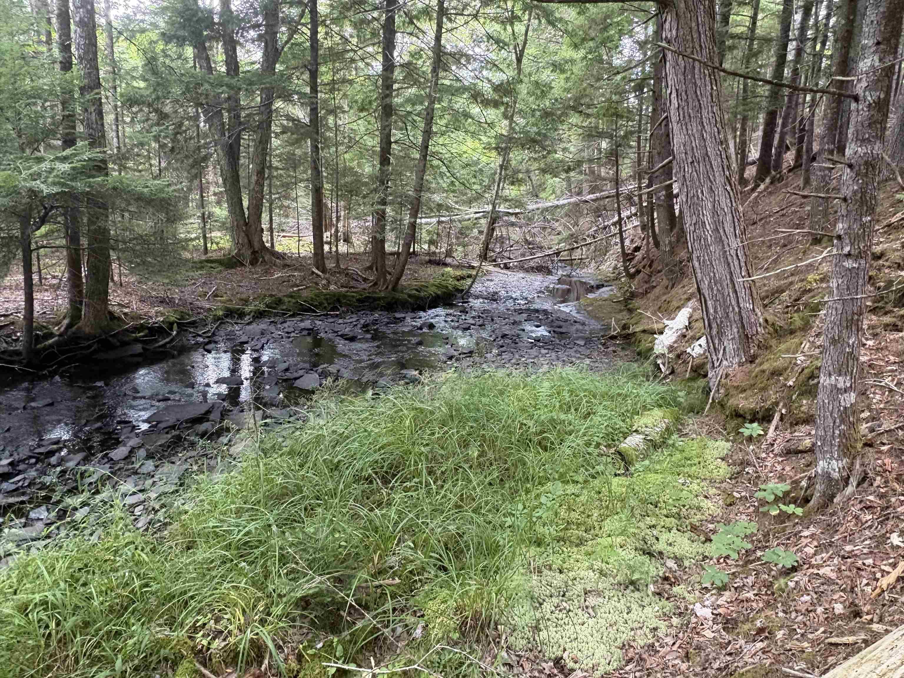 $35,000.00: Lot M14 Lake Road, Noel