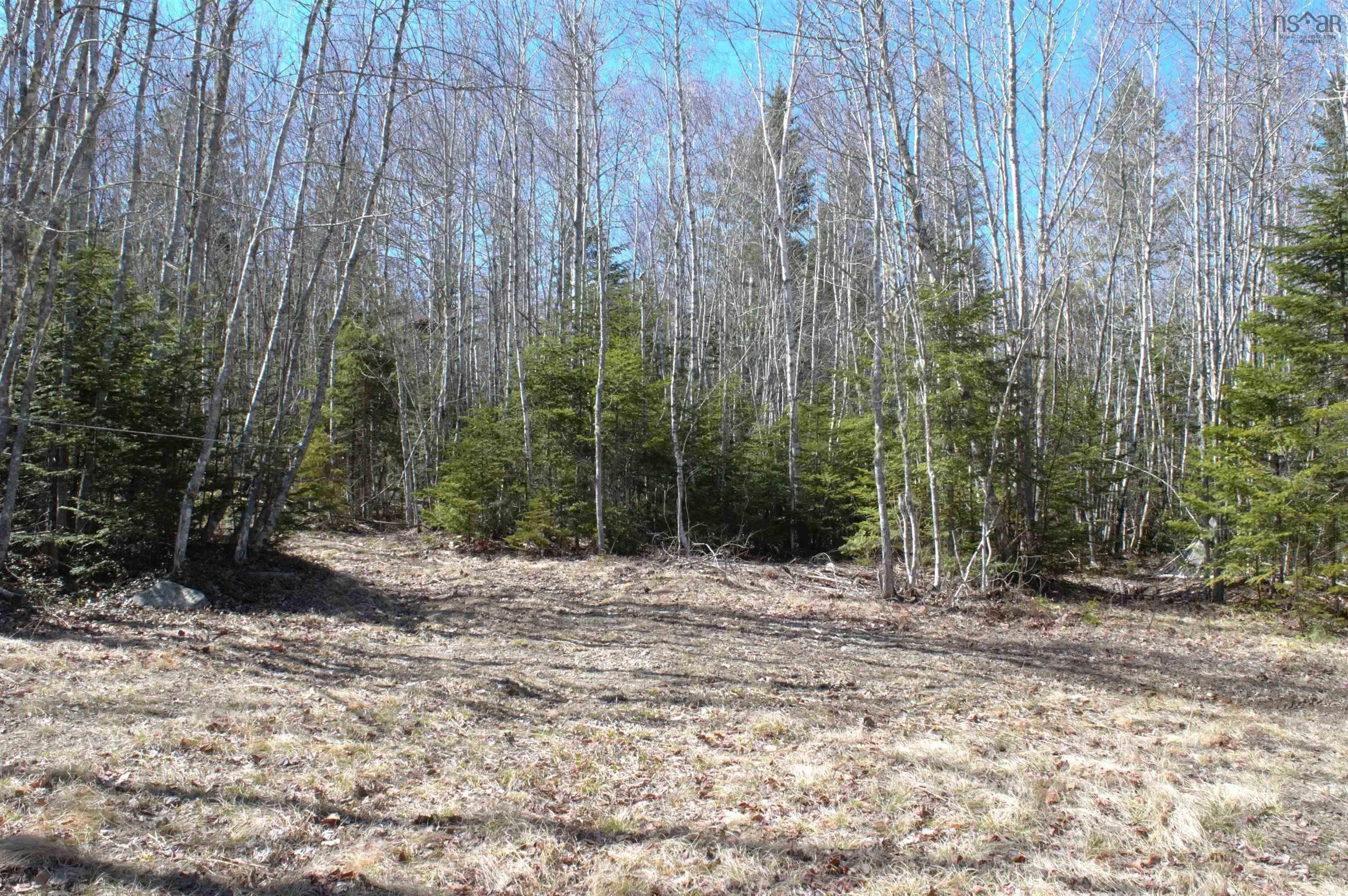 $99,999.00: Lot Telegraph Road, Bishopville