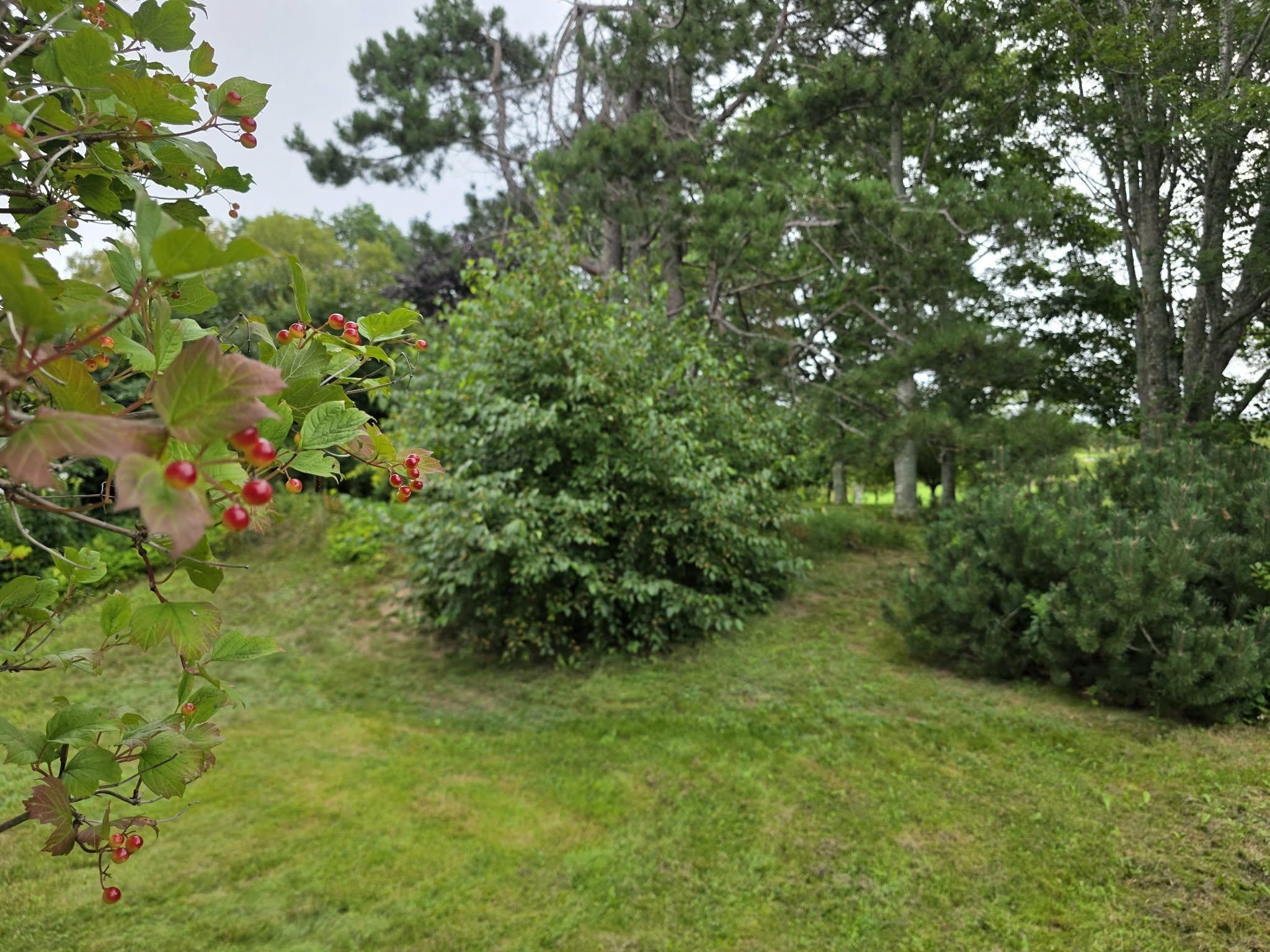$349,000.00: 3802 Highway 6 Highway, Tatamagouche