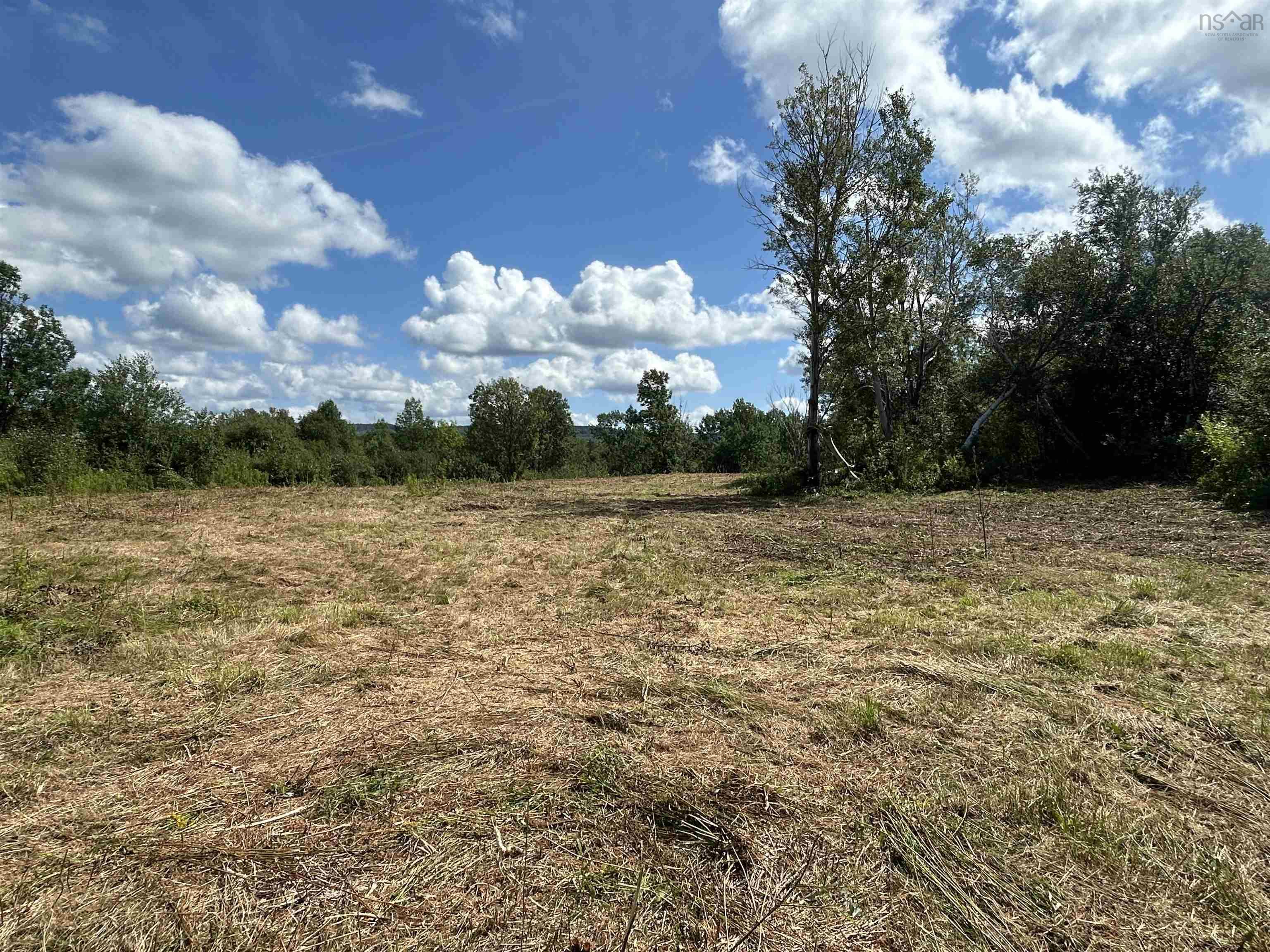 $49,999.00: Lot Shore Road, Lismore