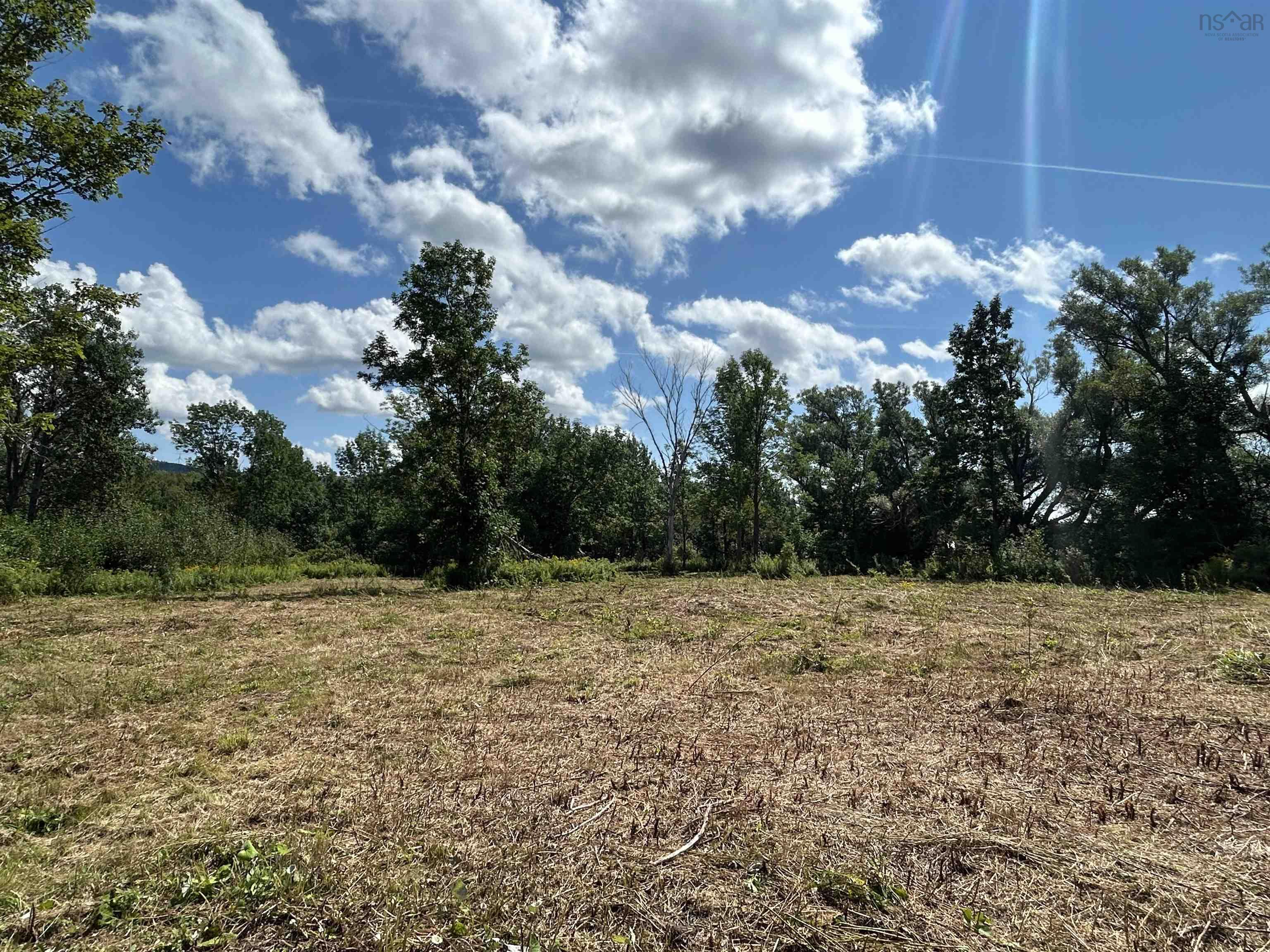 $49,999.00: Lot Shore Road, Lismore
