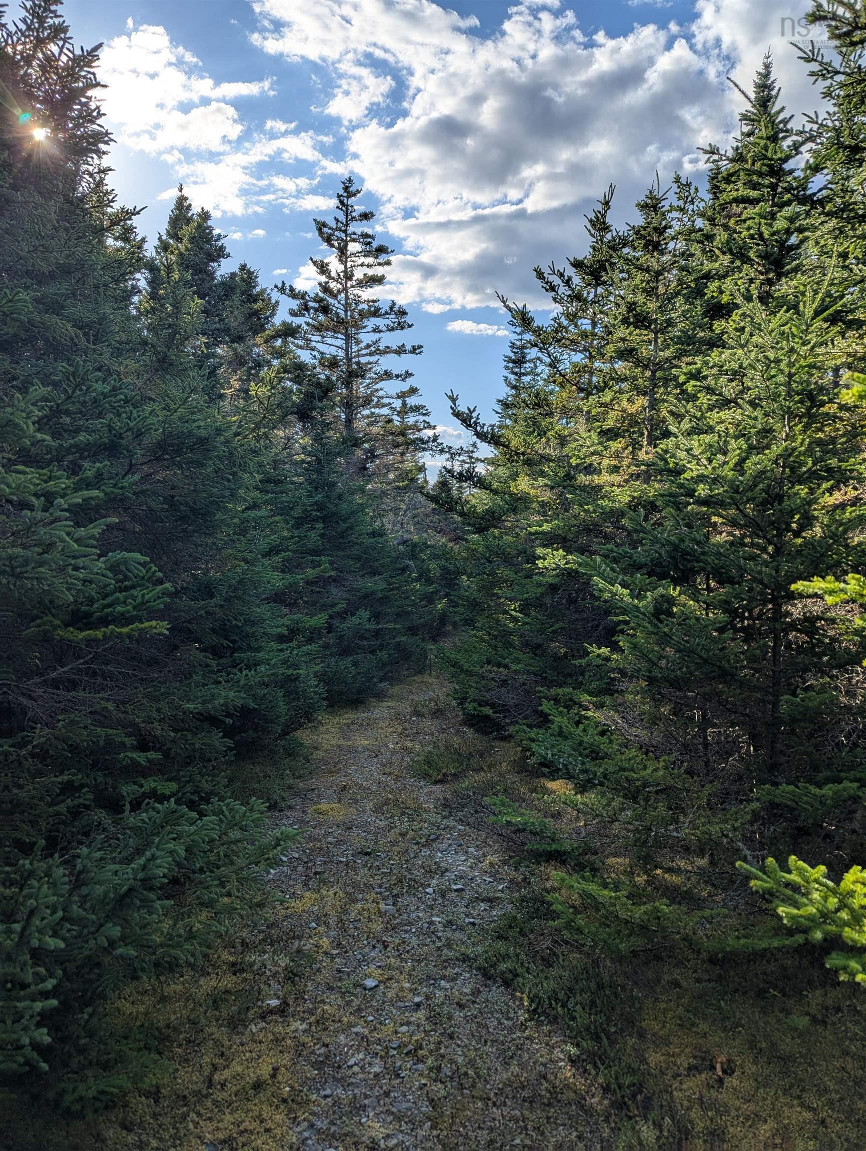 $179,000.00: Lot B Sober Island Road, Sober Island