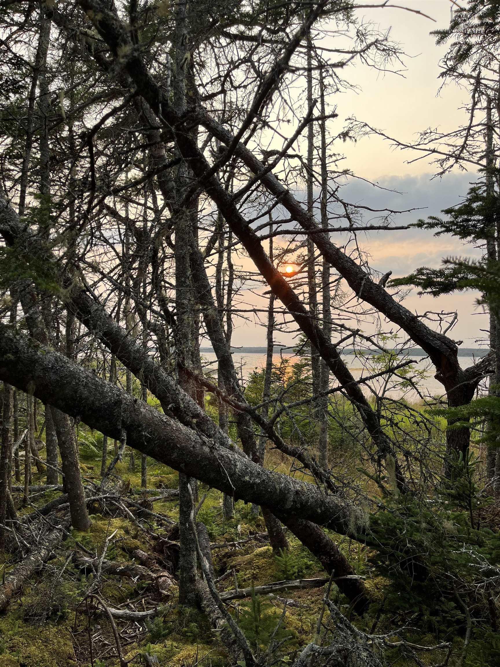 $179,000.00: Lot B Sober Island Road, Sober Island