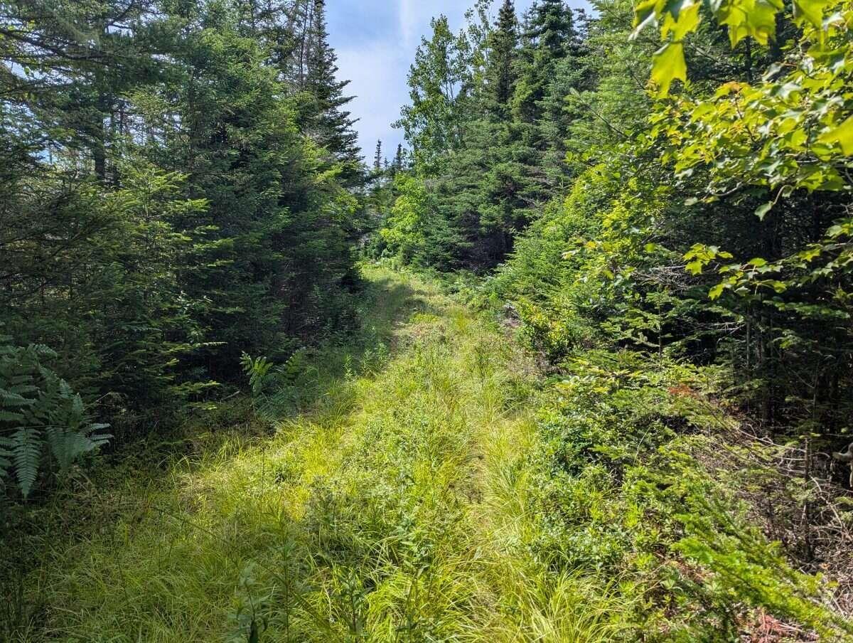 $179,000.00: Lot B Sober Island Road, Sober Island