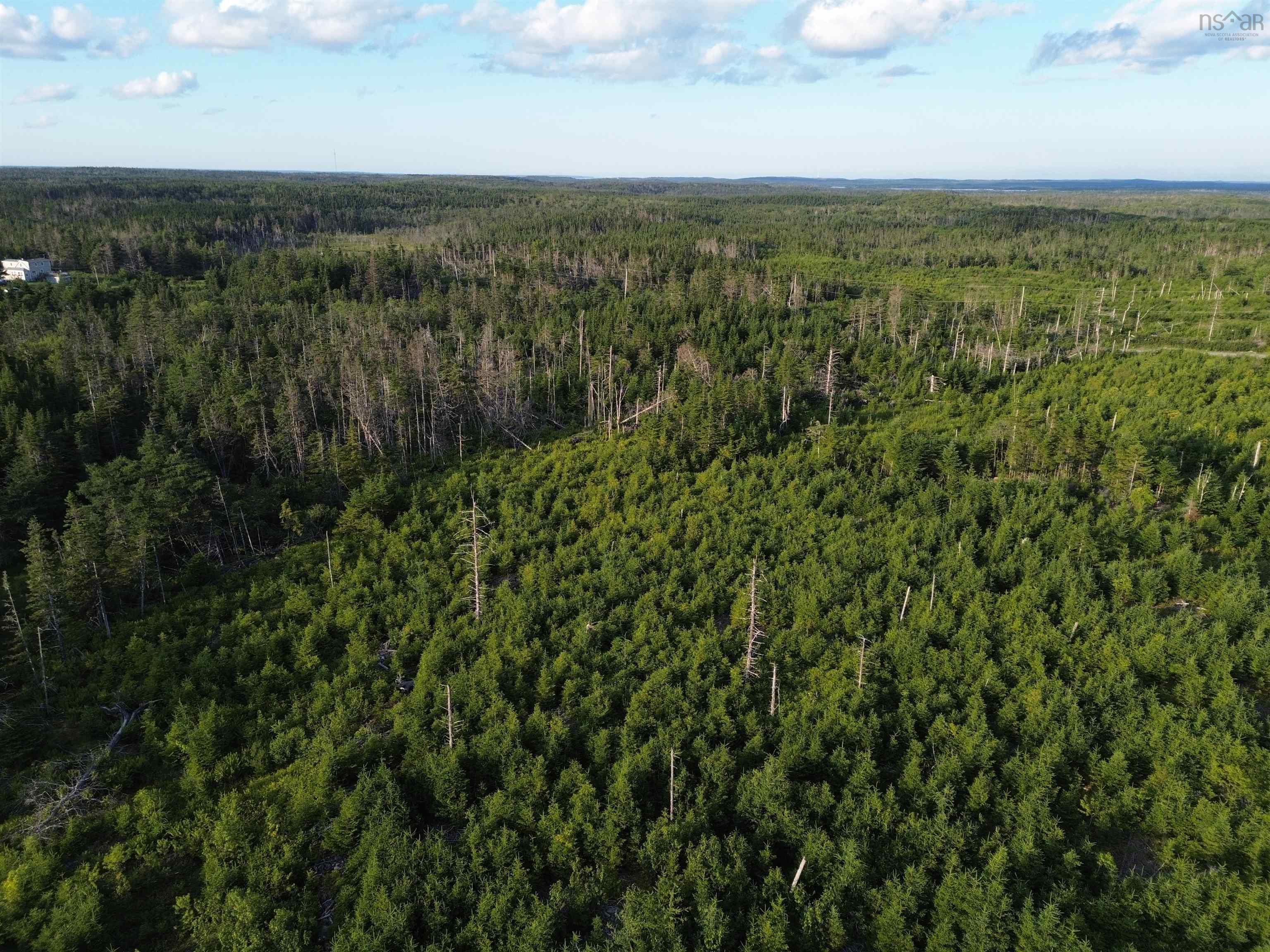 $179,000.00: Lot 1 Terra Nova Road, Louisbourg