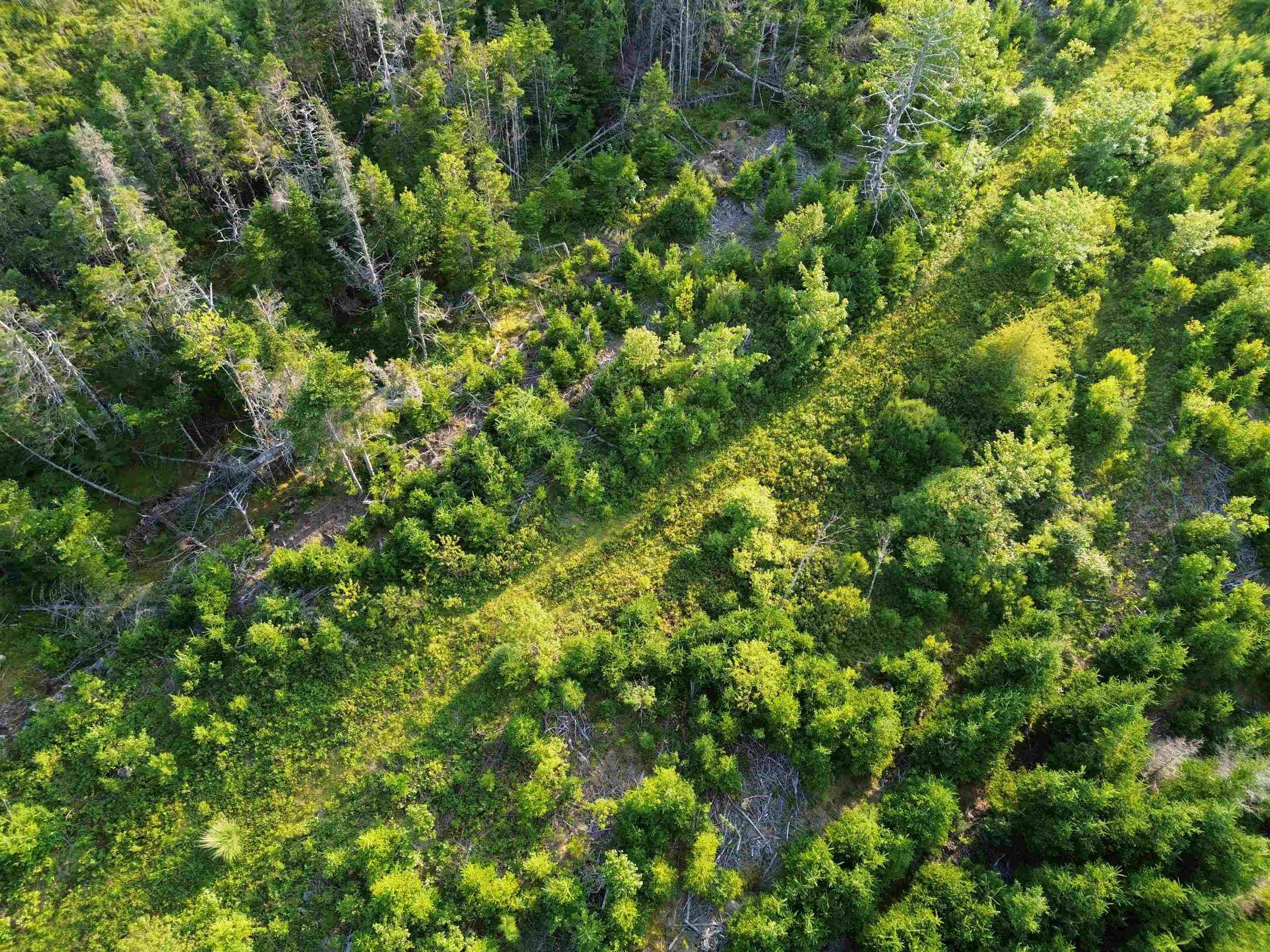 $179,000.00: Lot 1 Terra Nova Road, Louisbourg