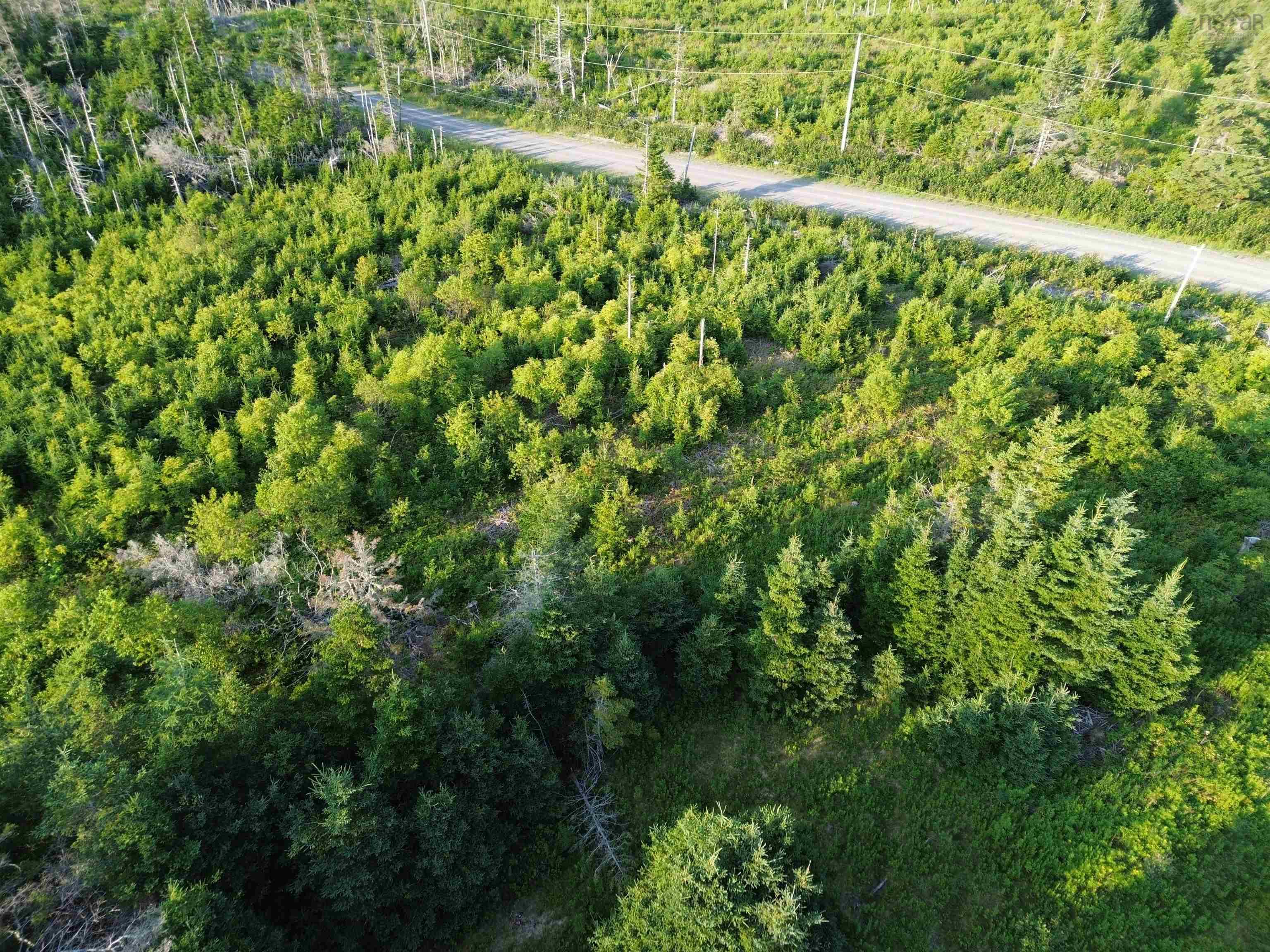 $179,000.00: Lot 1 Terra Nova Road, Louisbourg