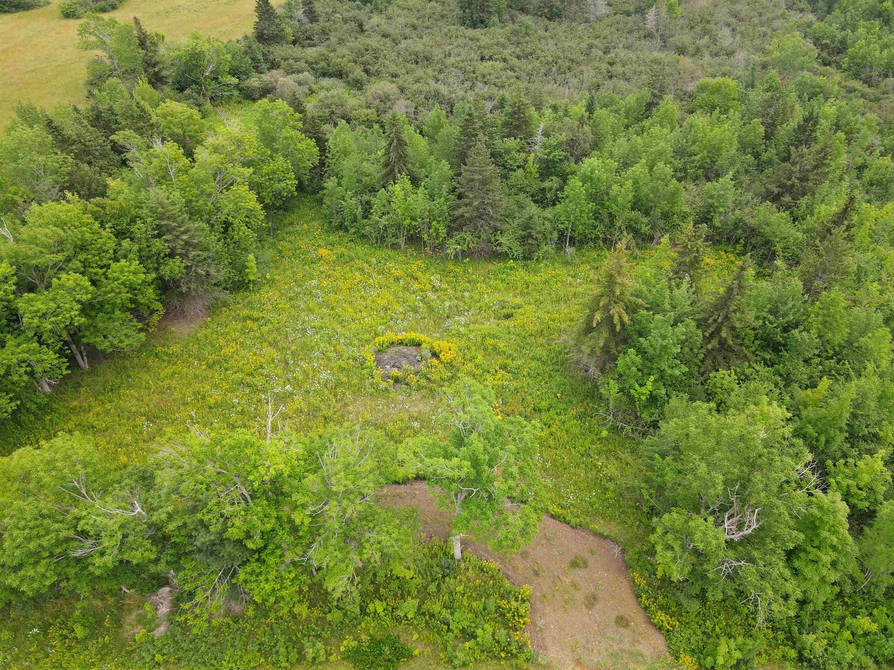 $75,000.00: Lot 24-12 Scotsville-Strathlorne Road, Scotsville