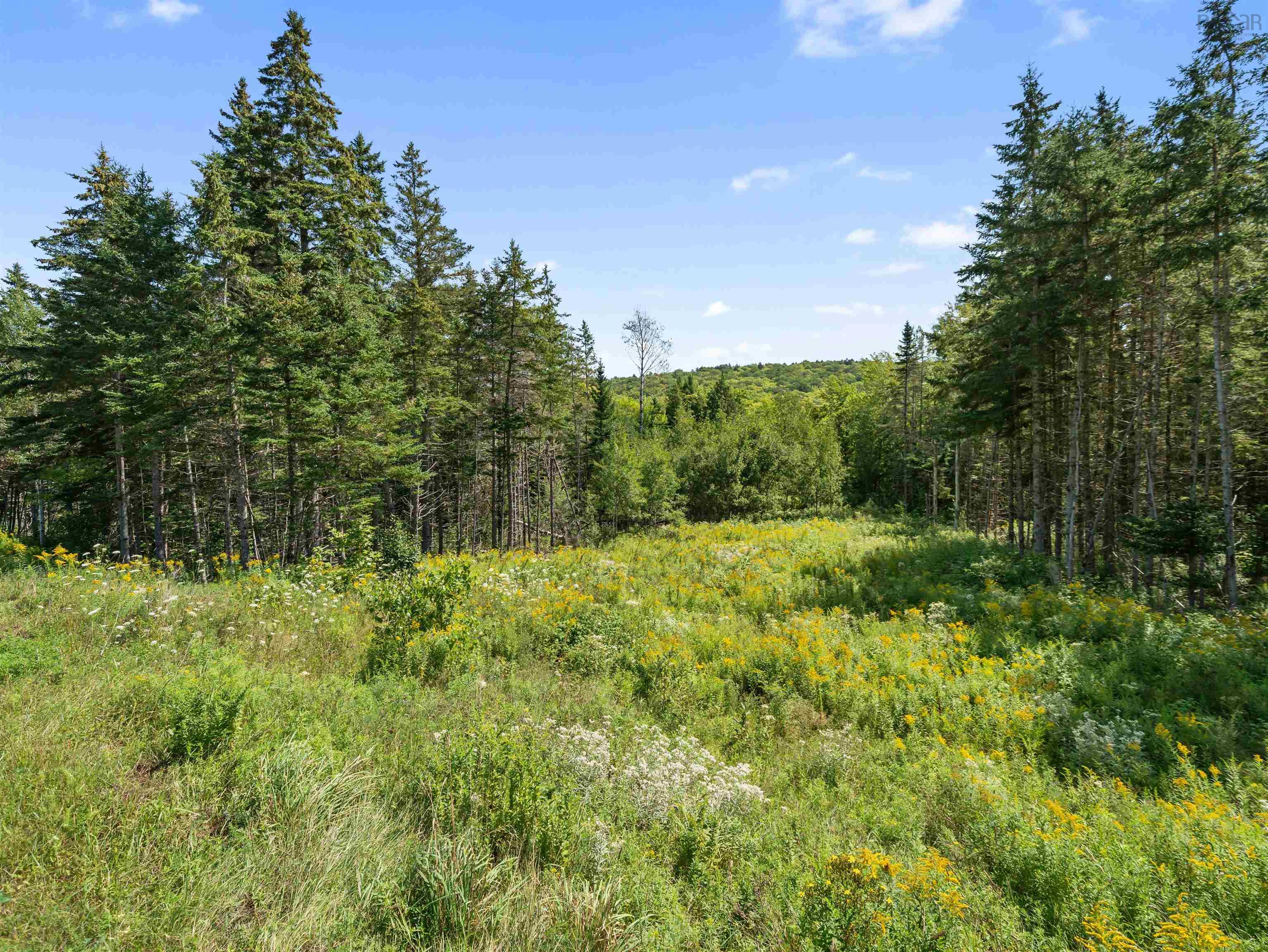 $114,900.00: Lot DA23-2 Highway 311 Highway, West Earltown