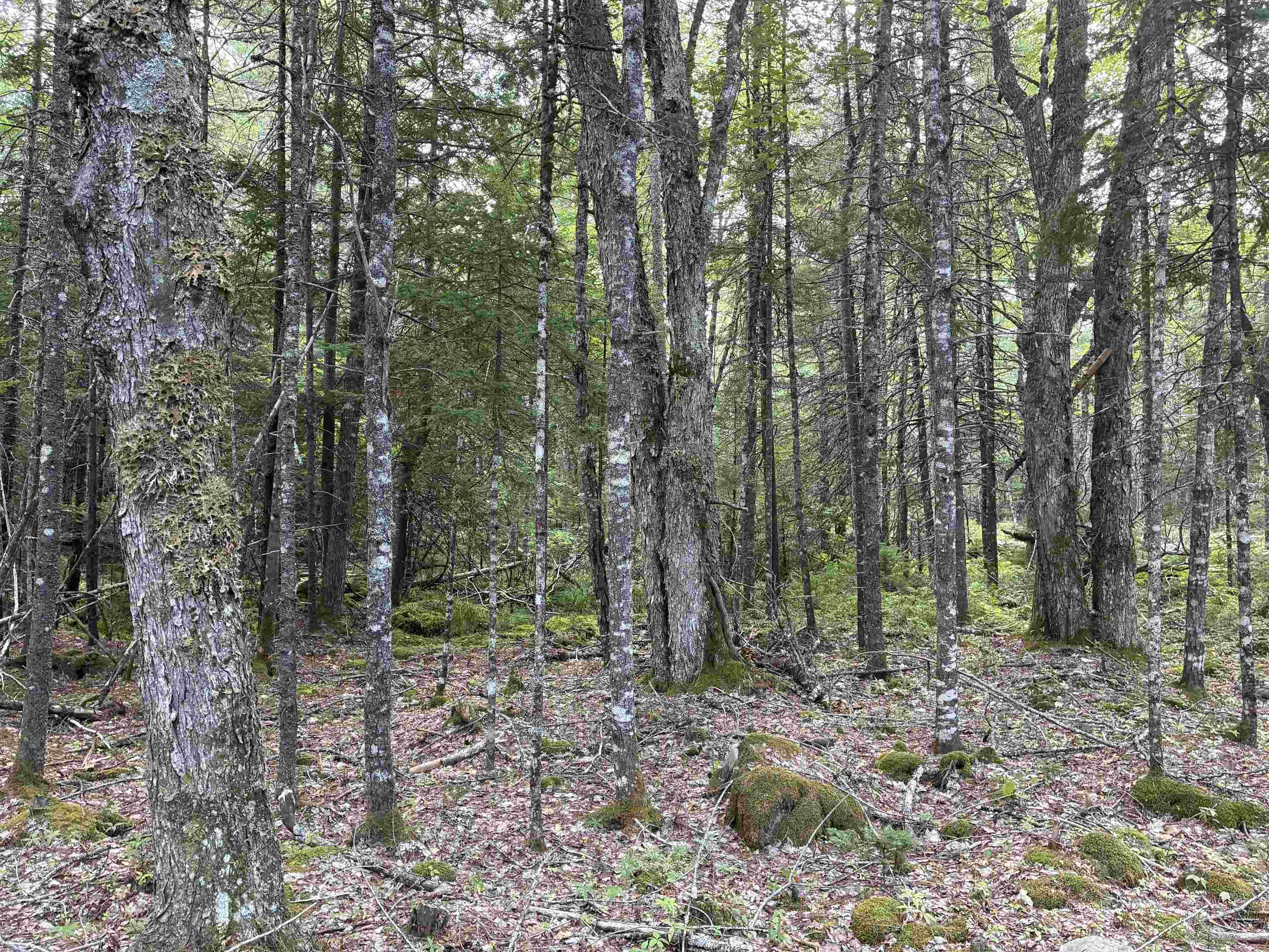 $249,000.00: 458 SCOUT CAMP Road, Greenfield