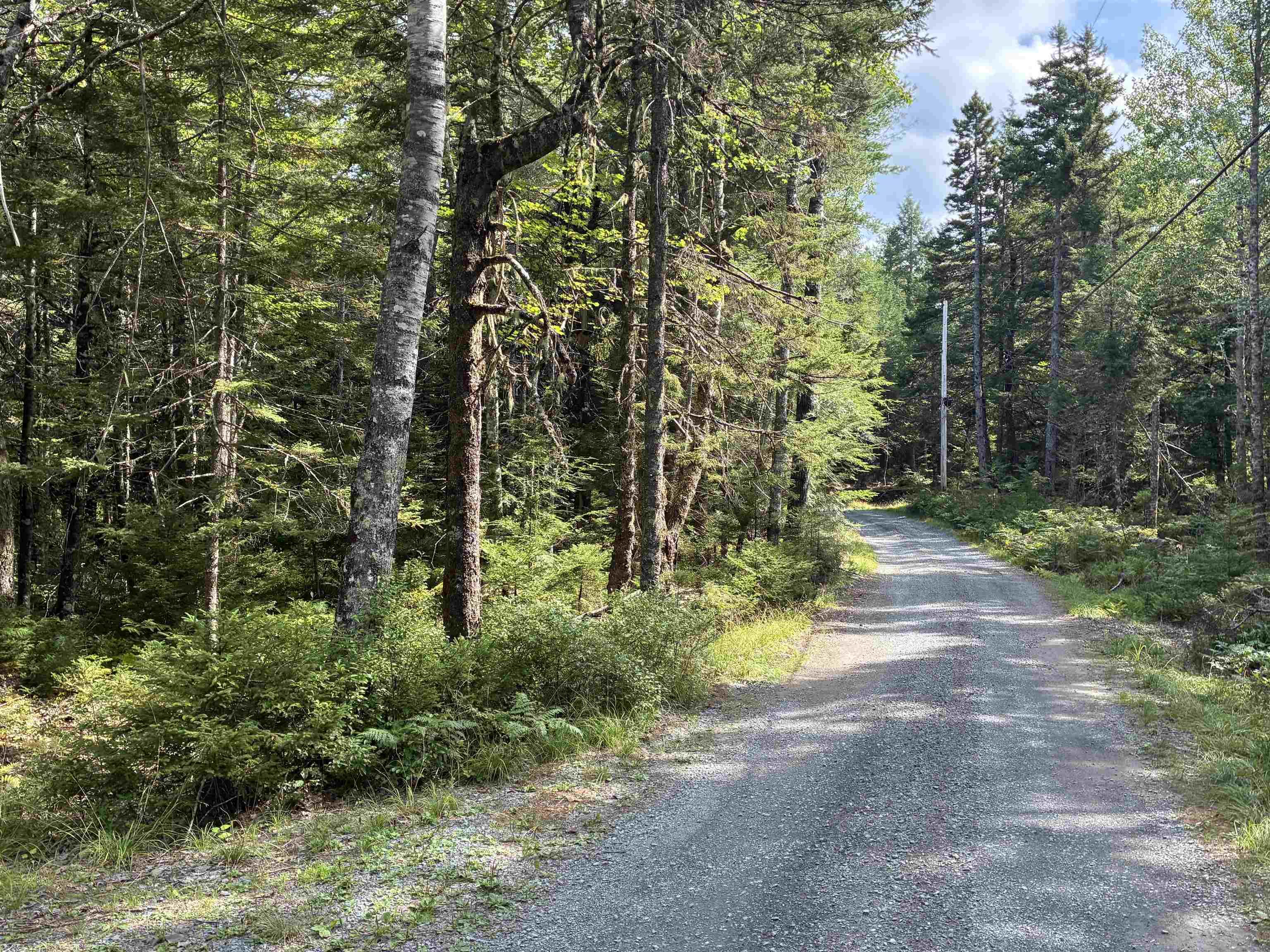 $249,000.00: 458 SCOUT CAMP Road, Greenfield