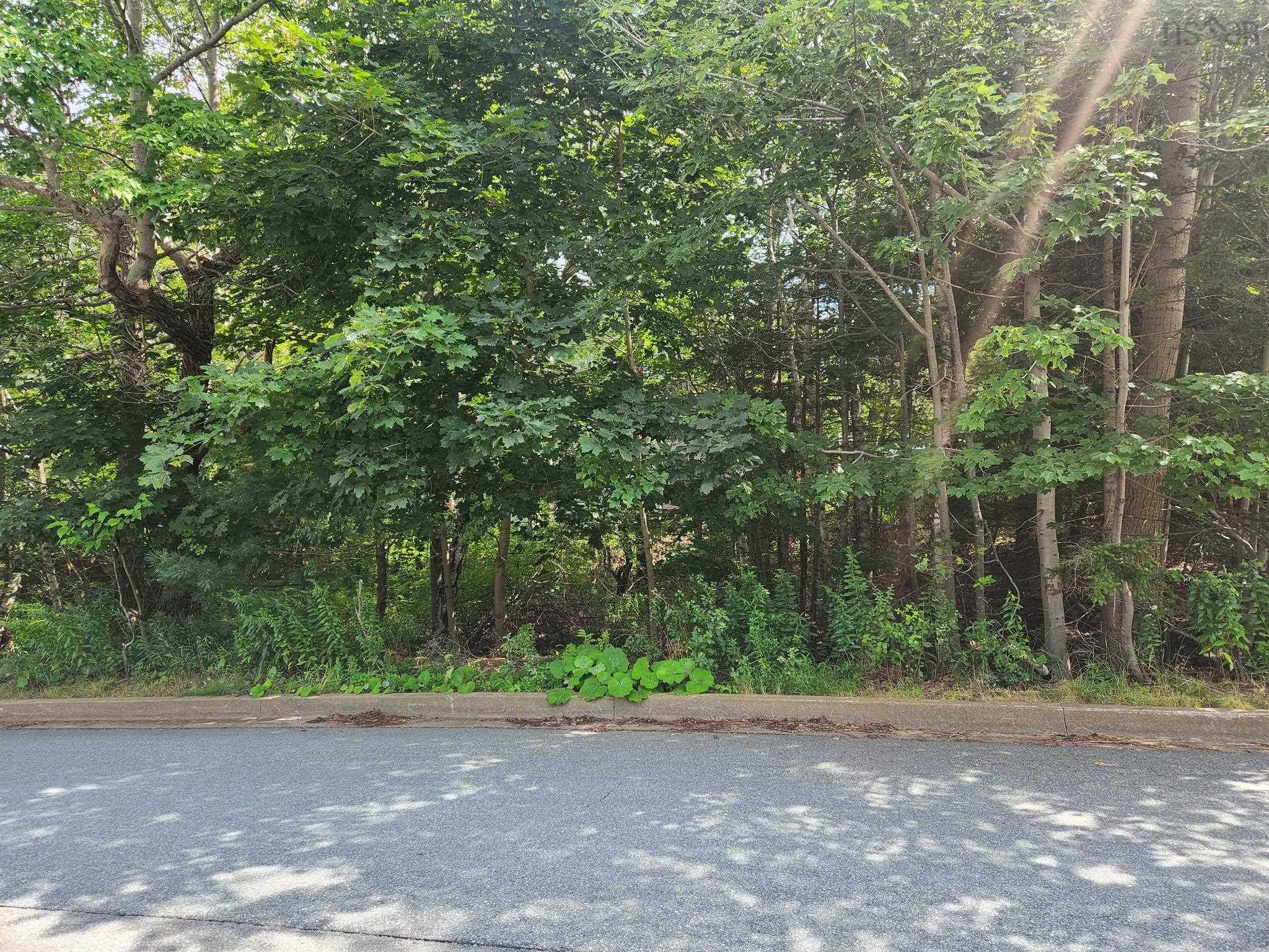 1 Pinehaven Drive, Halifax, NS (MLS® 202621655)