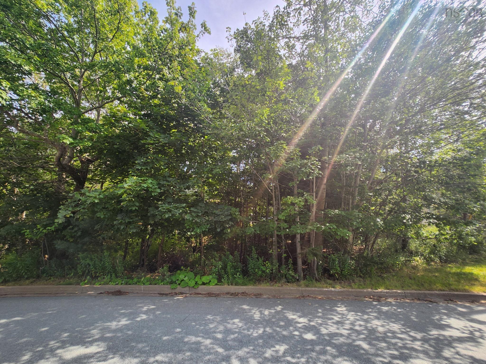 1 Pinehaven Drive, Halifax, NS (MLS 202621655)