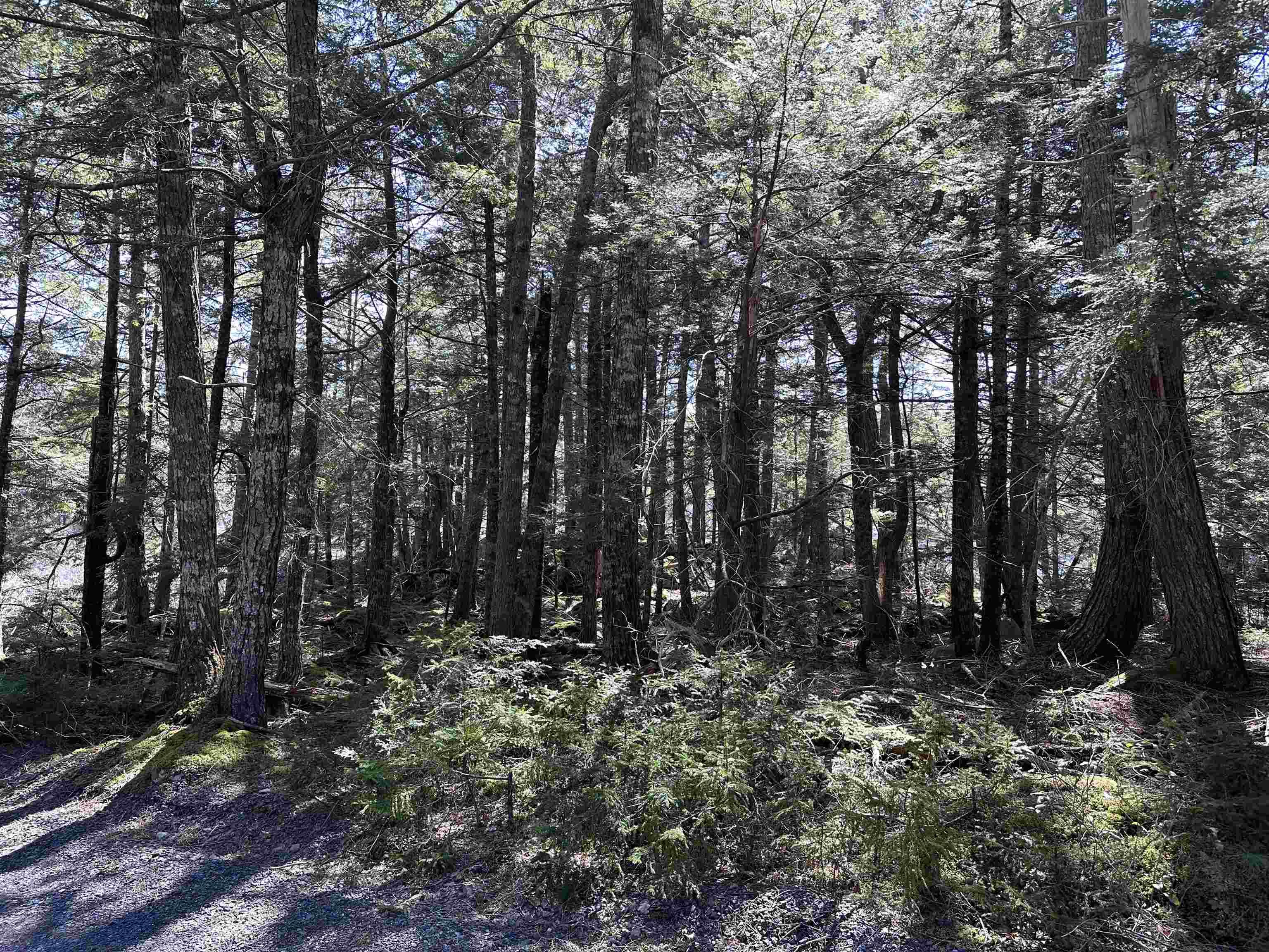 $79,900.00: Lot 3 Deer Point Road, Labelle