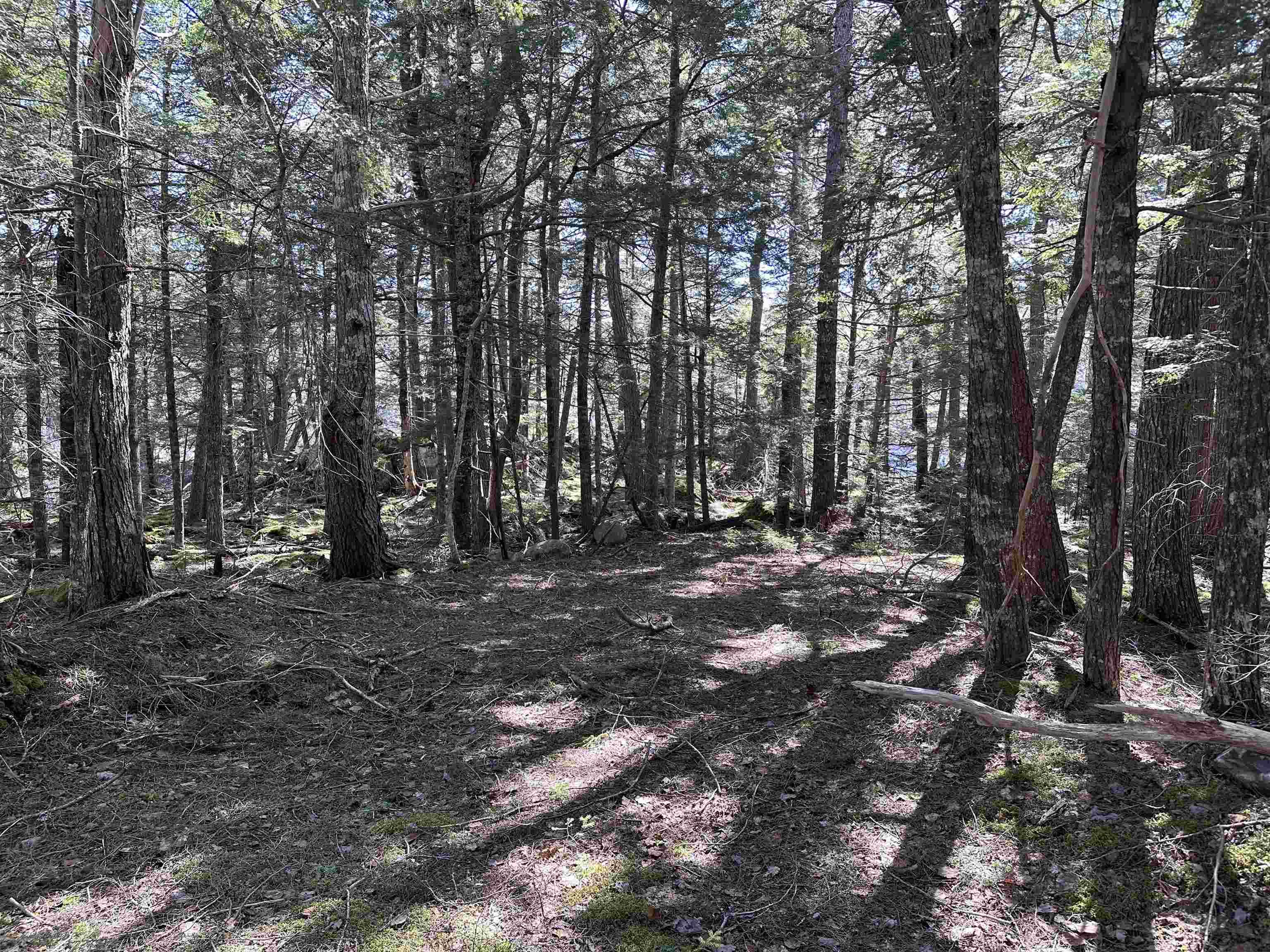 $79,900.00: Lot 3 Deer Point Road, Labelle