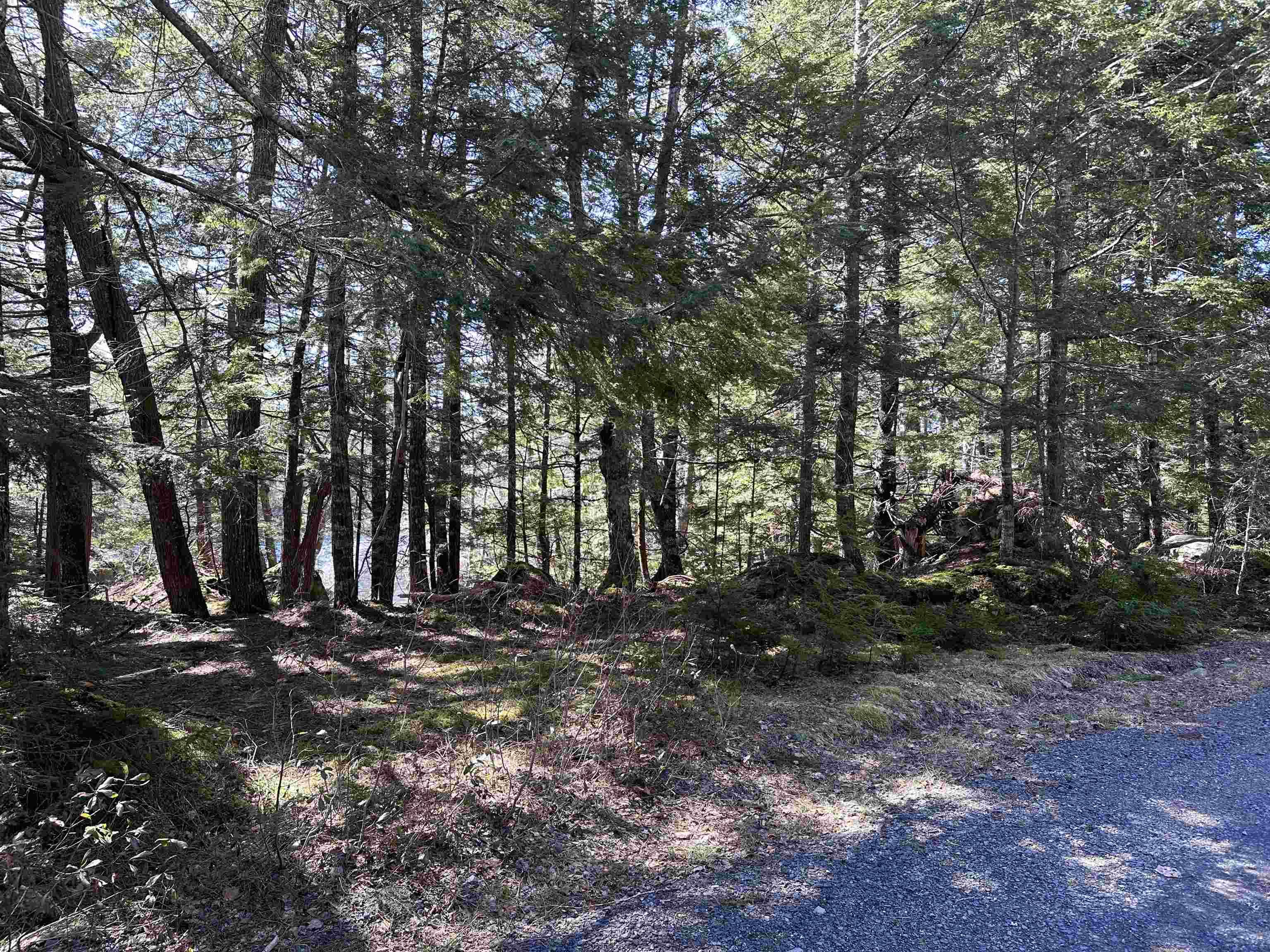 $79,900.00: Lot 3 Deer Point Road, Labelle