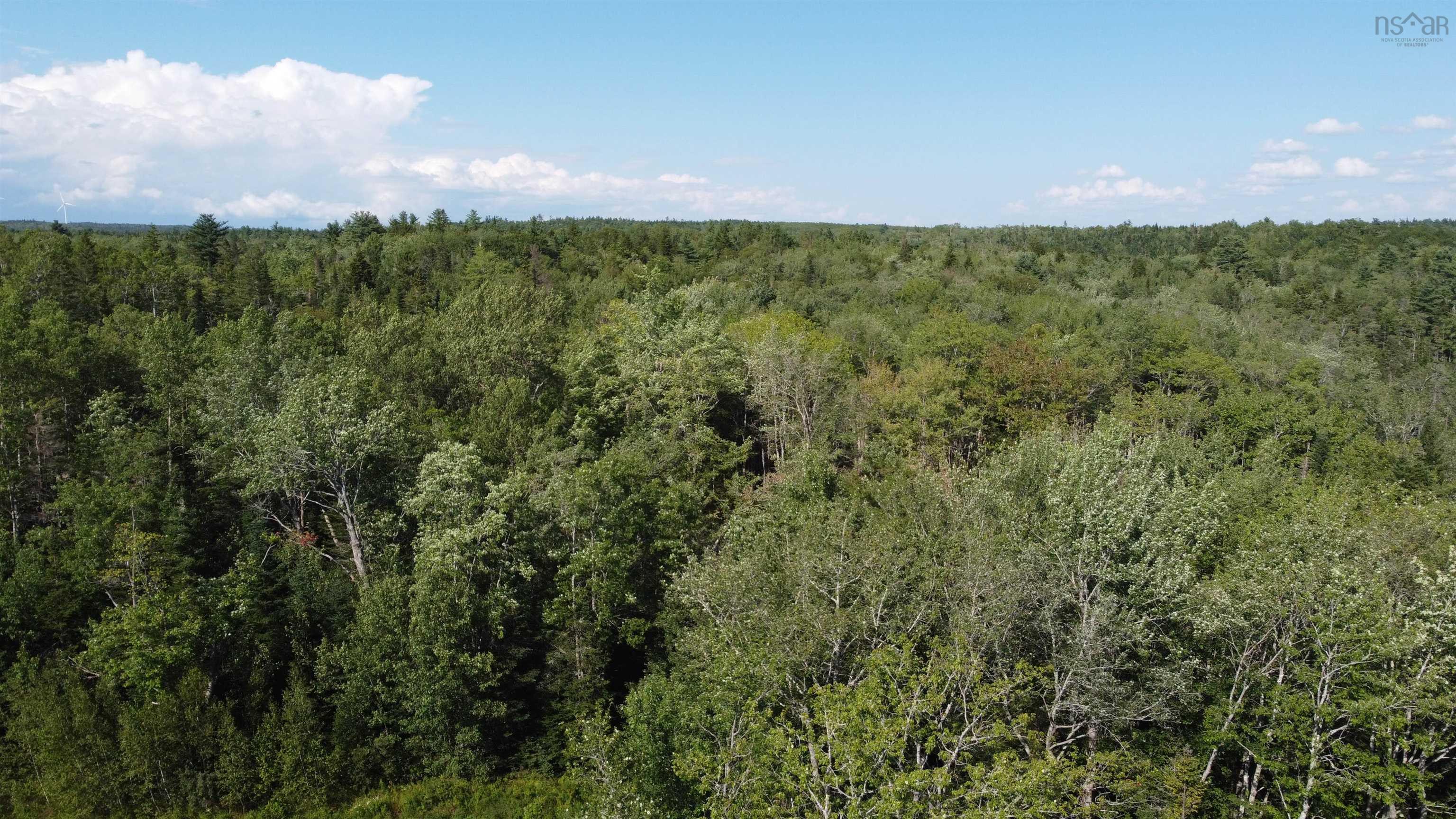 99 Farfields Lane, Beaver Bank, NS (MLS 202621664)