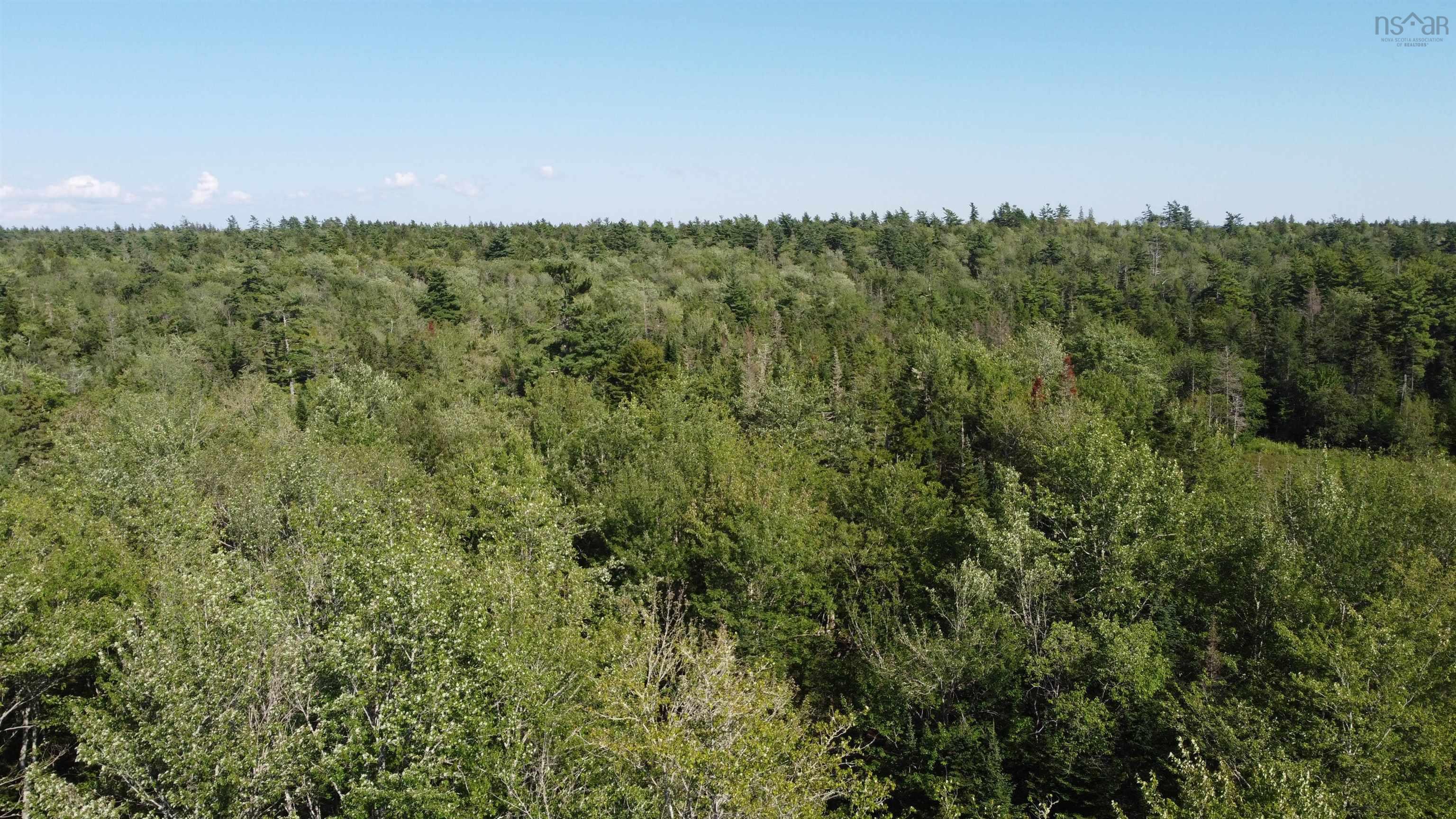 99 Farfields Lane, Beaver Bank, NS (MLS 202621664)