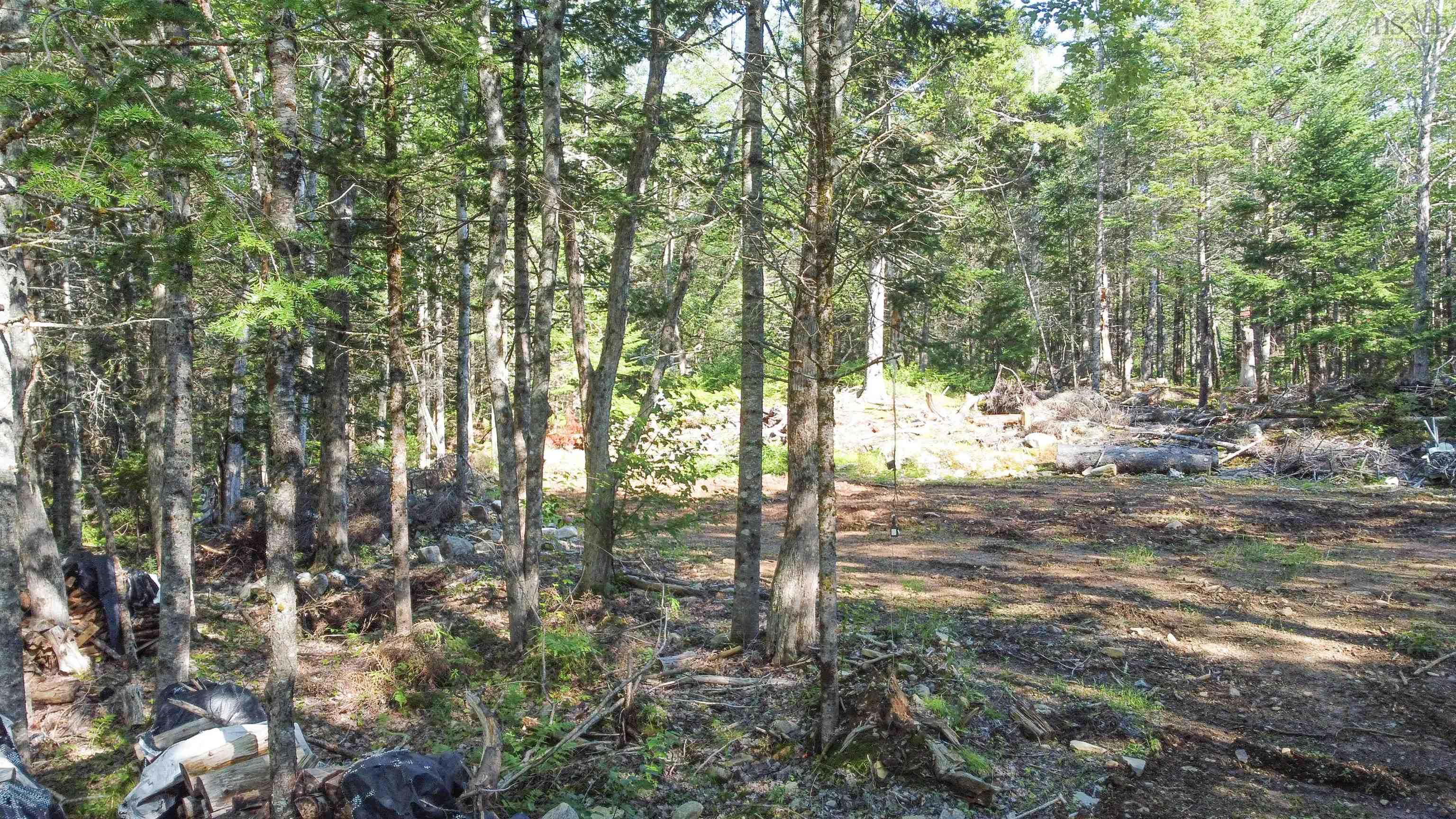 99 Farfields Lane, Beaver Bank, NS (MLS 202621664)