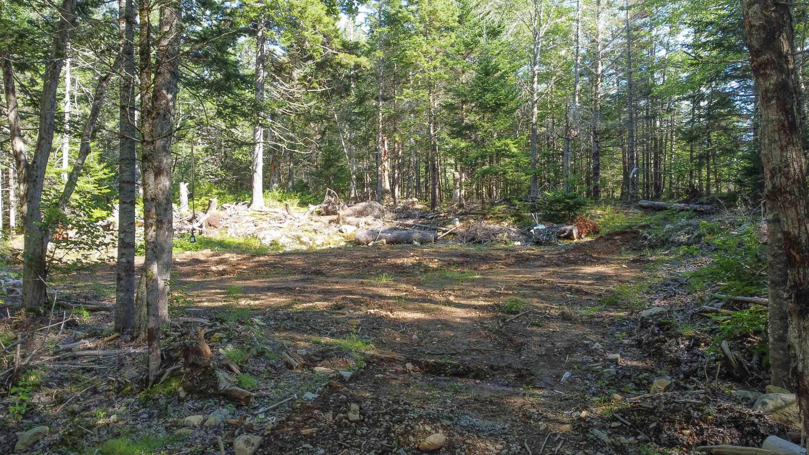 99 Farfields Lane, Beaver Bank, NS (MLS 202621664)