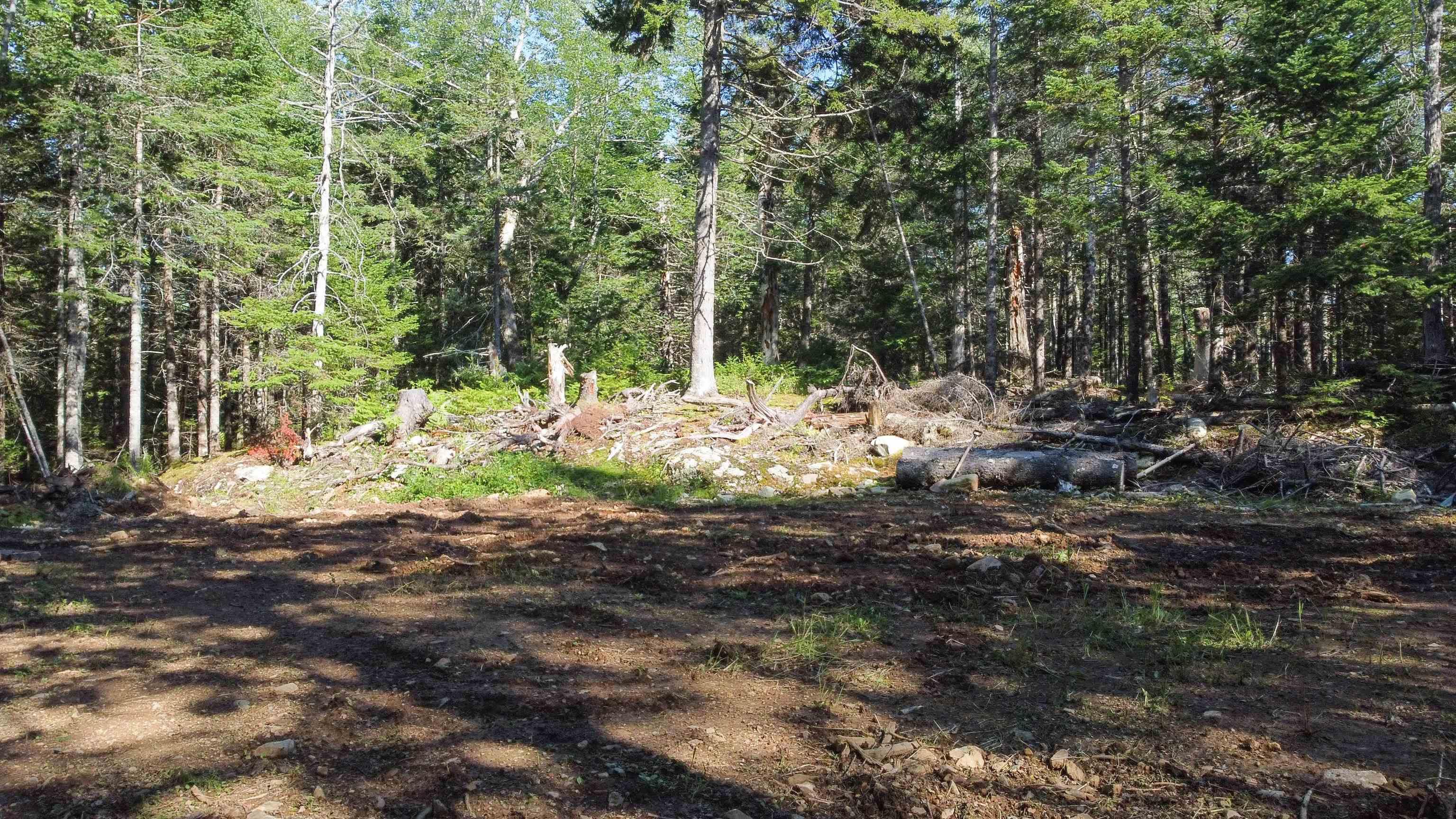 99 Farfields Lane, Beaver Bank, NS (MLS 202621664)
