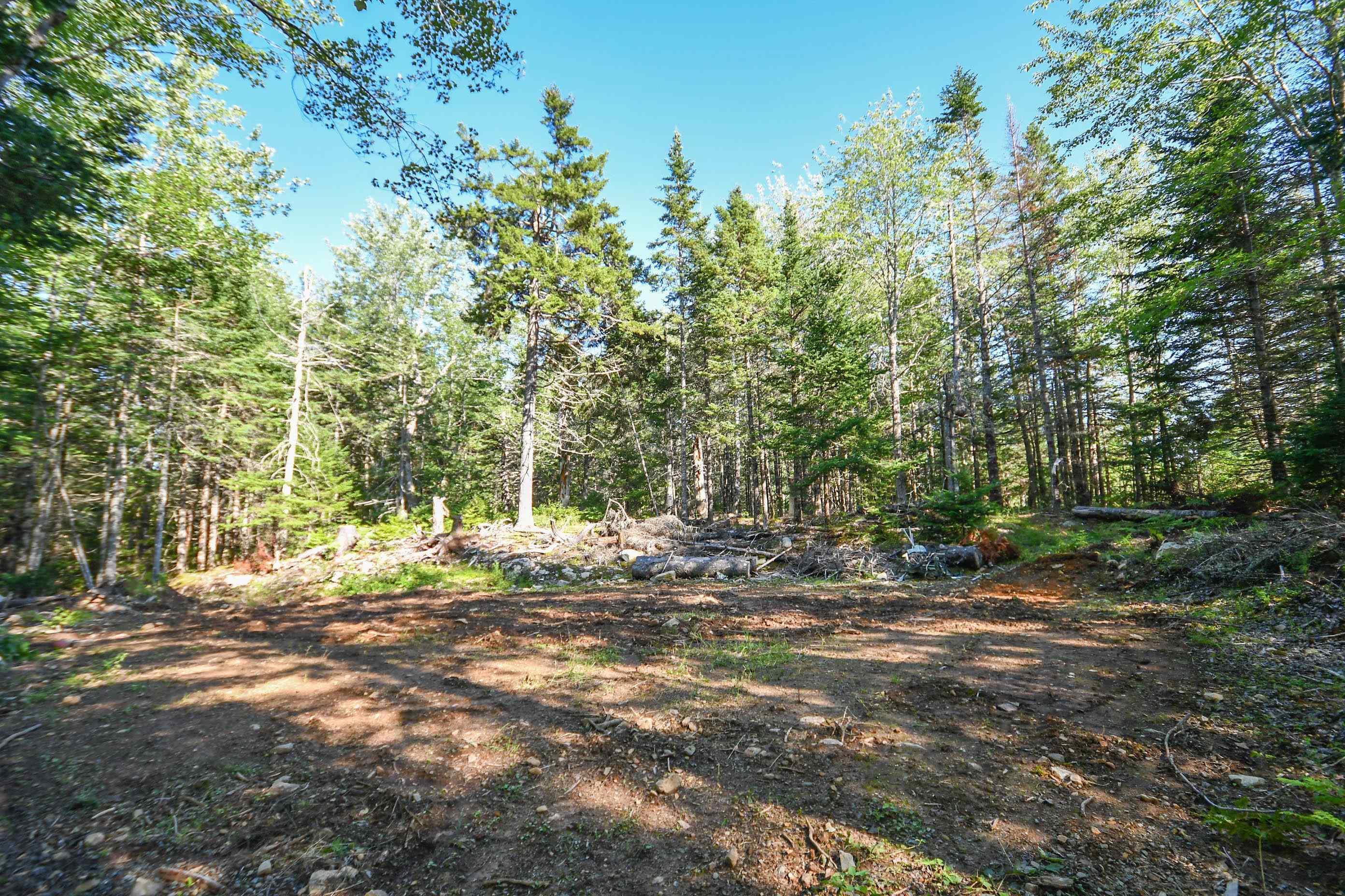 99 Farfields Lane, Beaver Bank, NS (MLS 202621664)