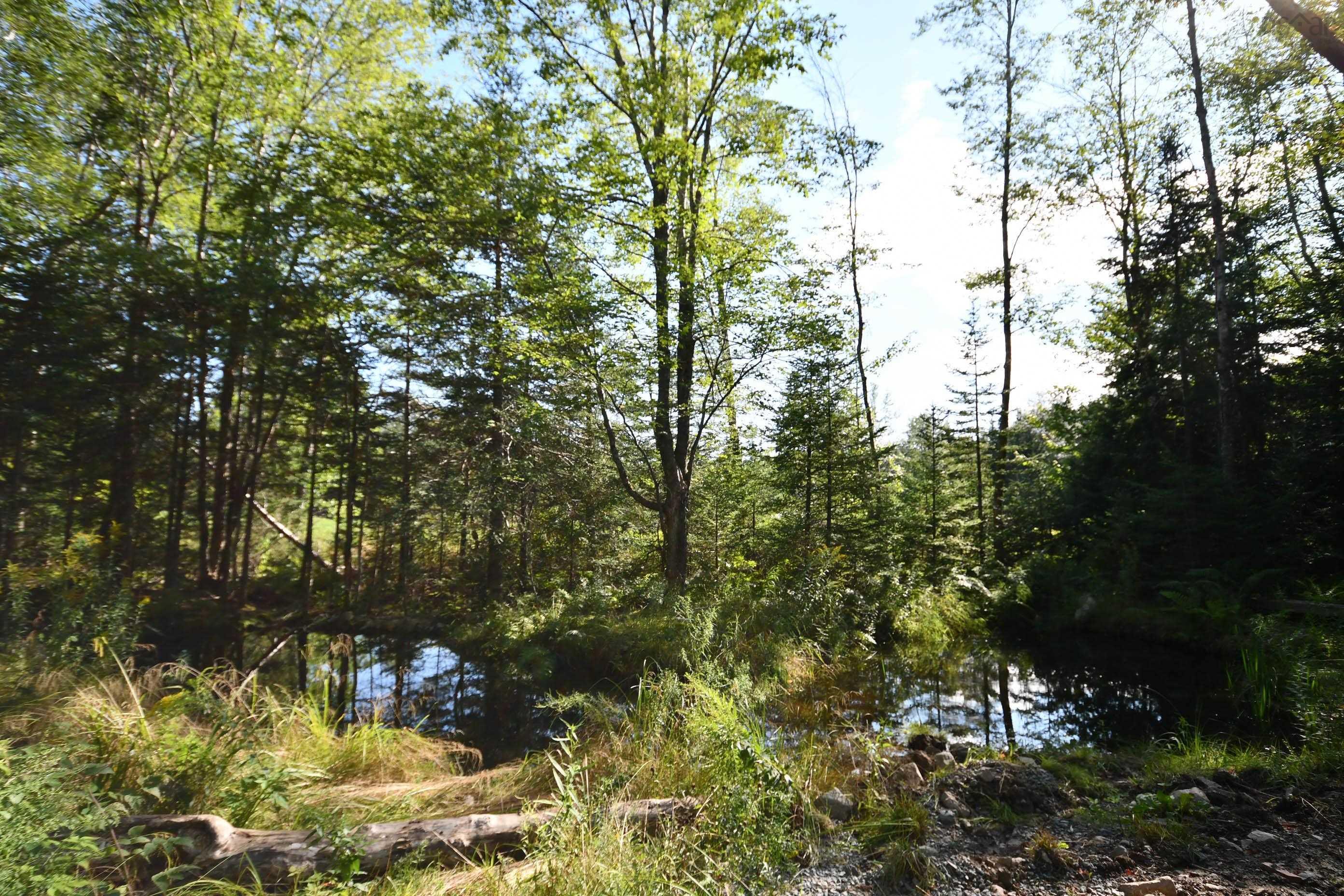 99 Farfields Lane, Beaver Bank, NS (MLS 202621664)