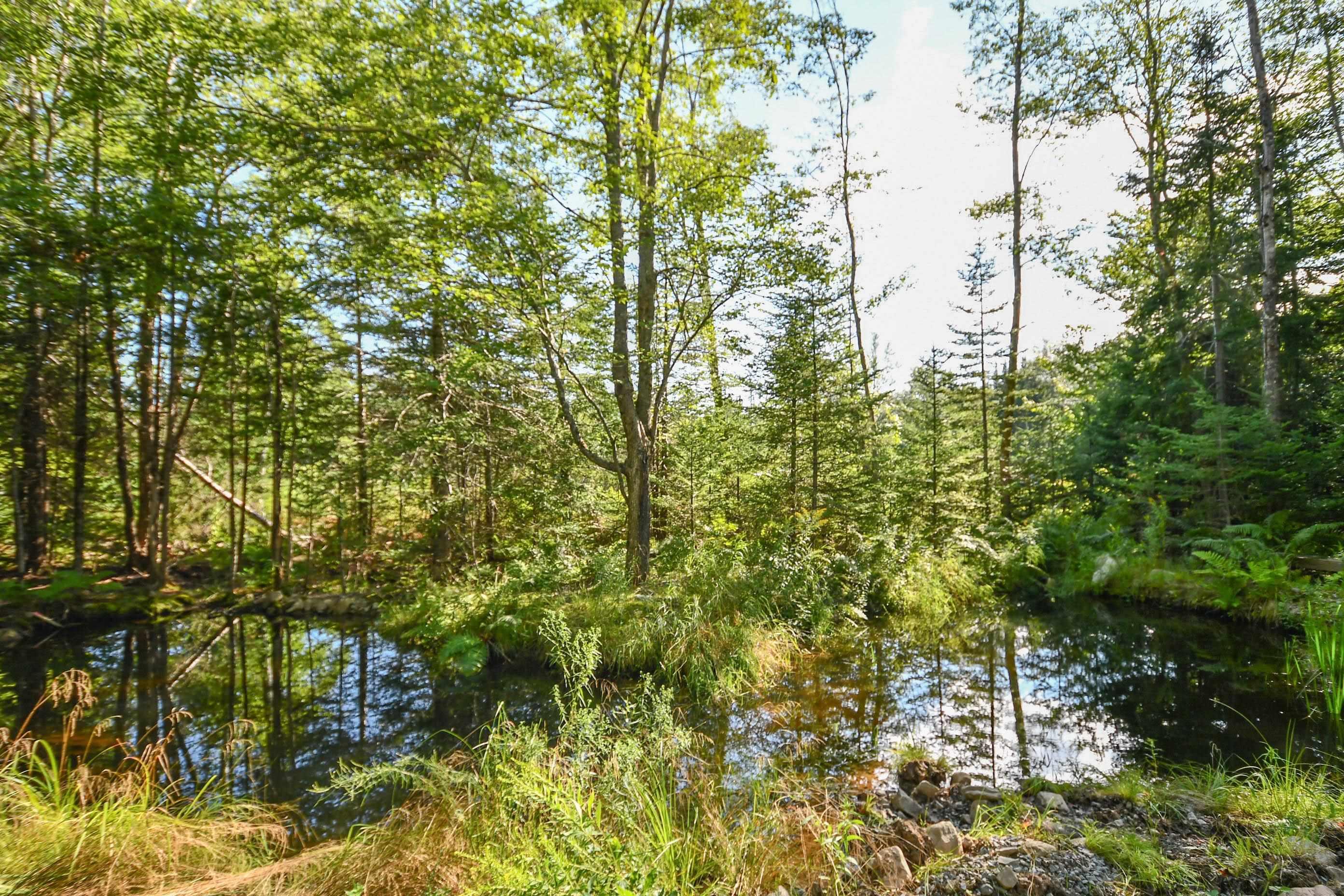 99 Farfields Lane, Beaver Bank, NS (MLS 202621664)