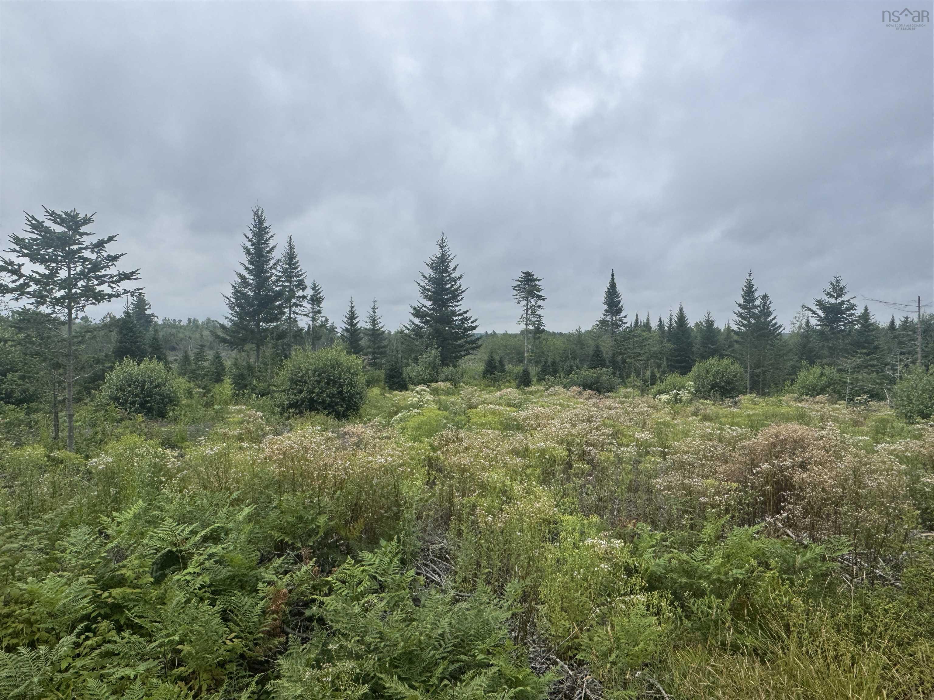 $150,000.00: Lot A Hardwood Lake Road, Lake Paul