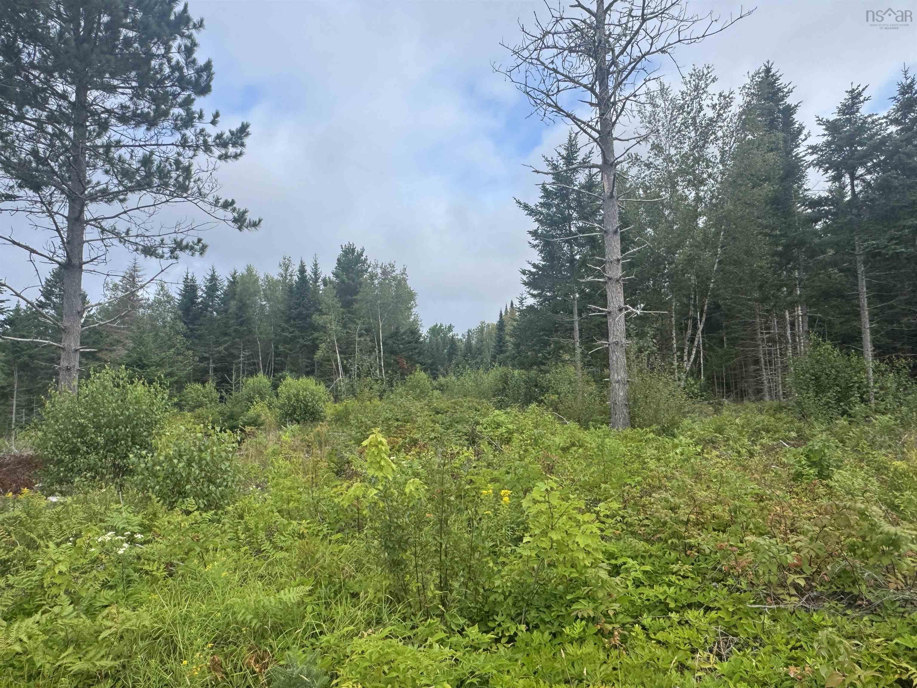 $150,000.00: Lot A Hardwood Lake Road, Lake Paul