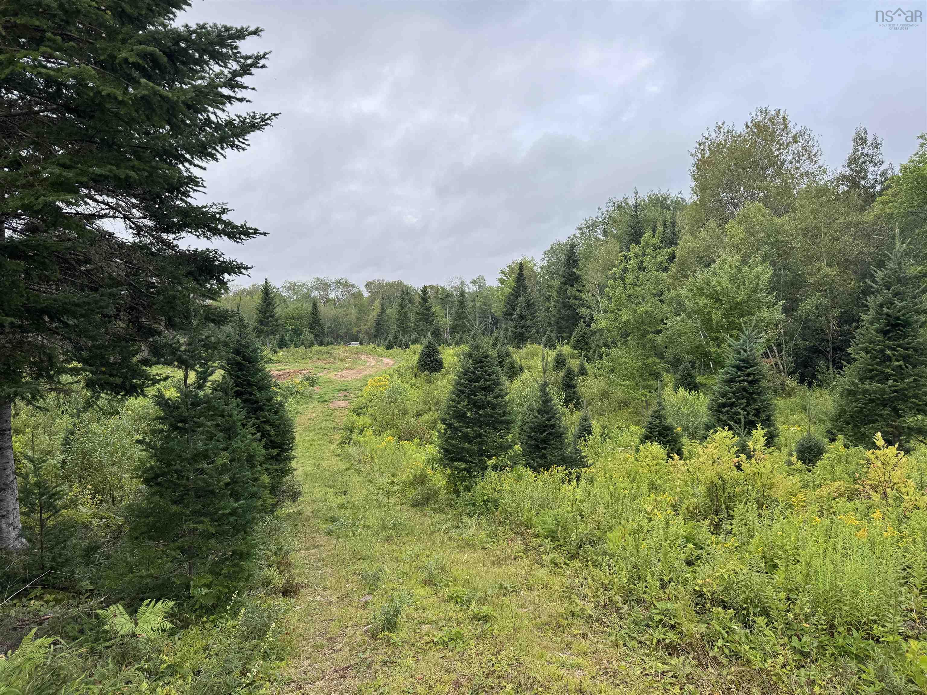 $150,000.00: Lot A Hardwood Lake Road, Lake Paul