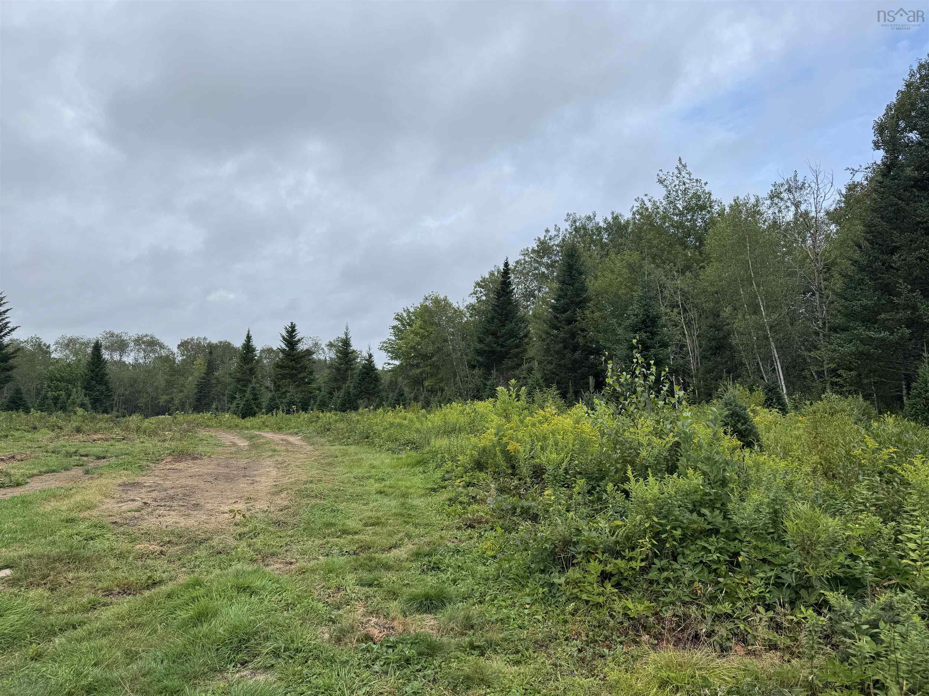 $150,000.00: Lot A Hardwood Lake Road, Lake Paul