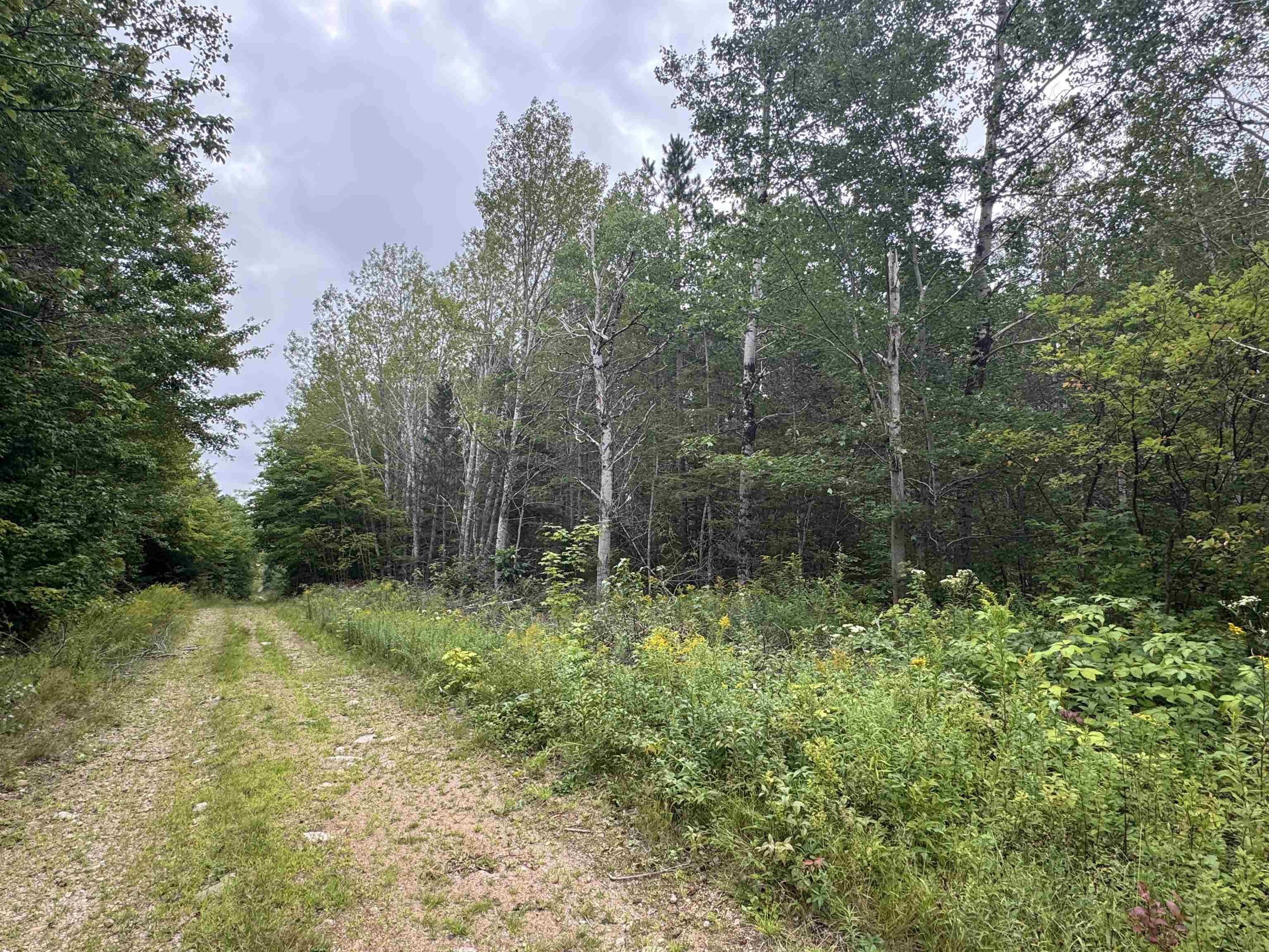 $150,000.00: Lot A Hardwood Lake Road, Lake Paul
