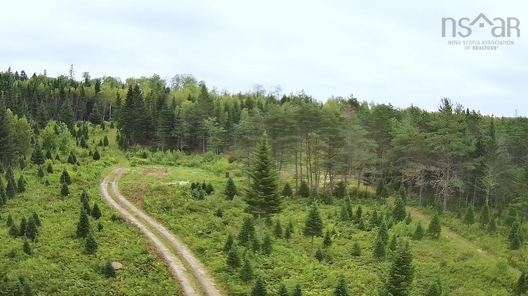 $150,000.00: Lot A Hardwood Lake Road, Lake Paul