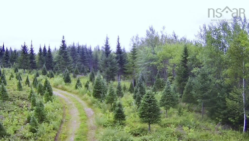 $150,000.00: Lot A Hardwood Lake Road, Lake Paul