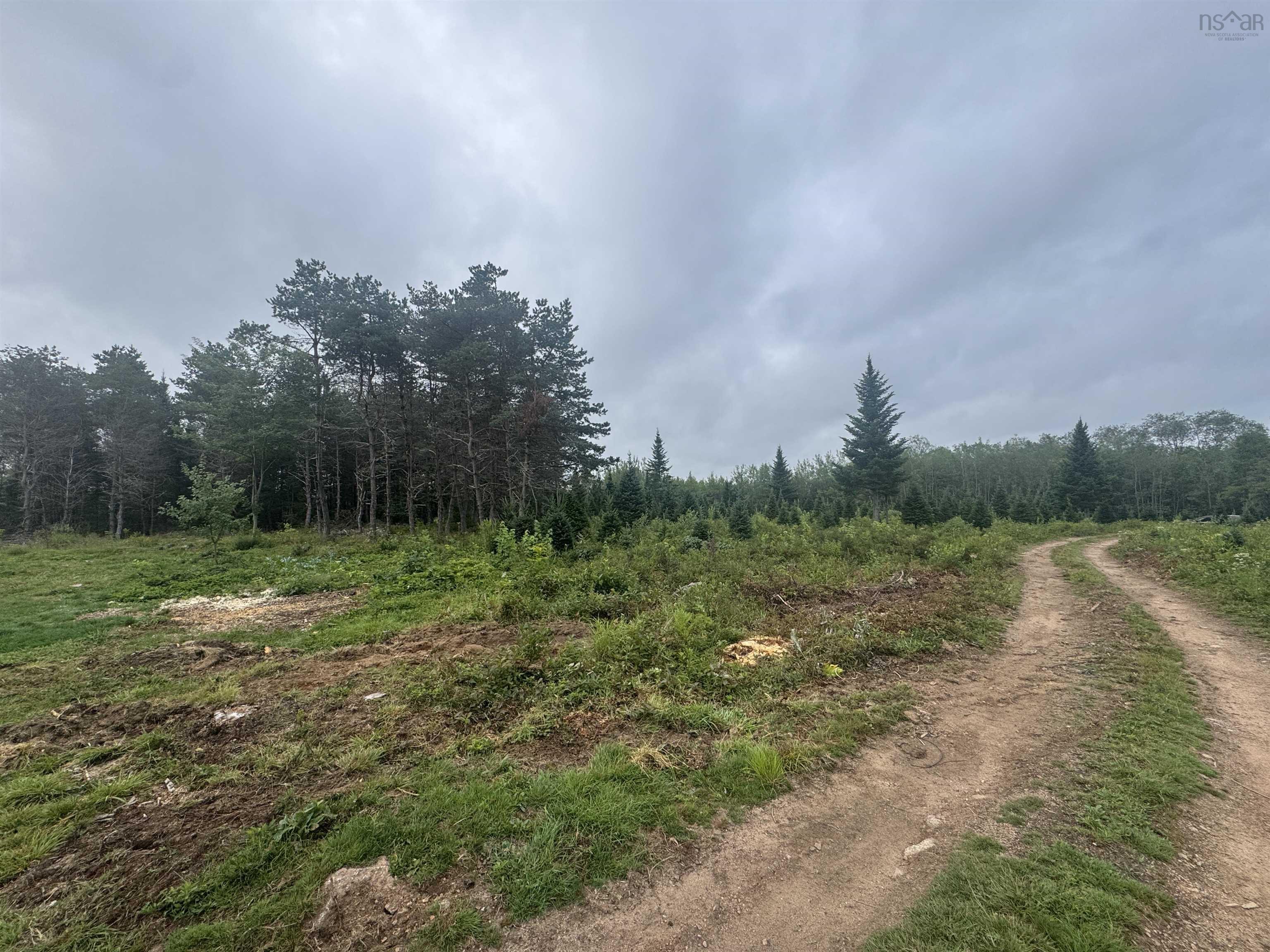 $150,000.00: Lot A Hardwood Lake Road, Lake Paul