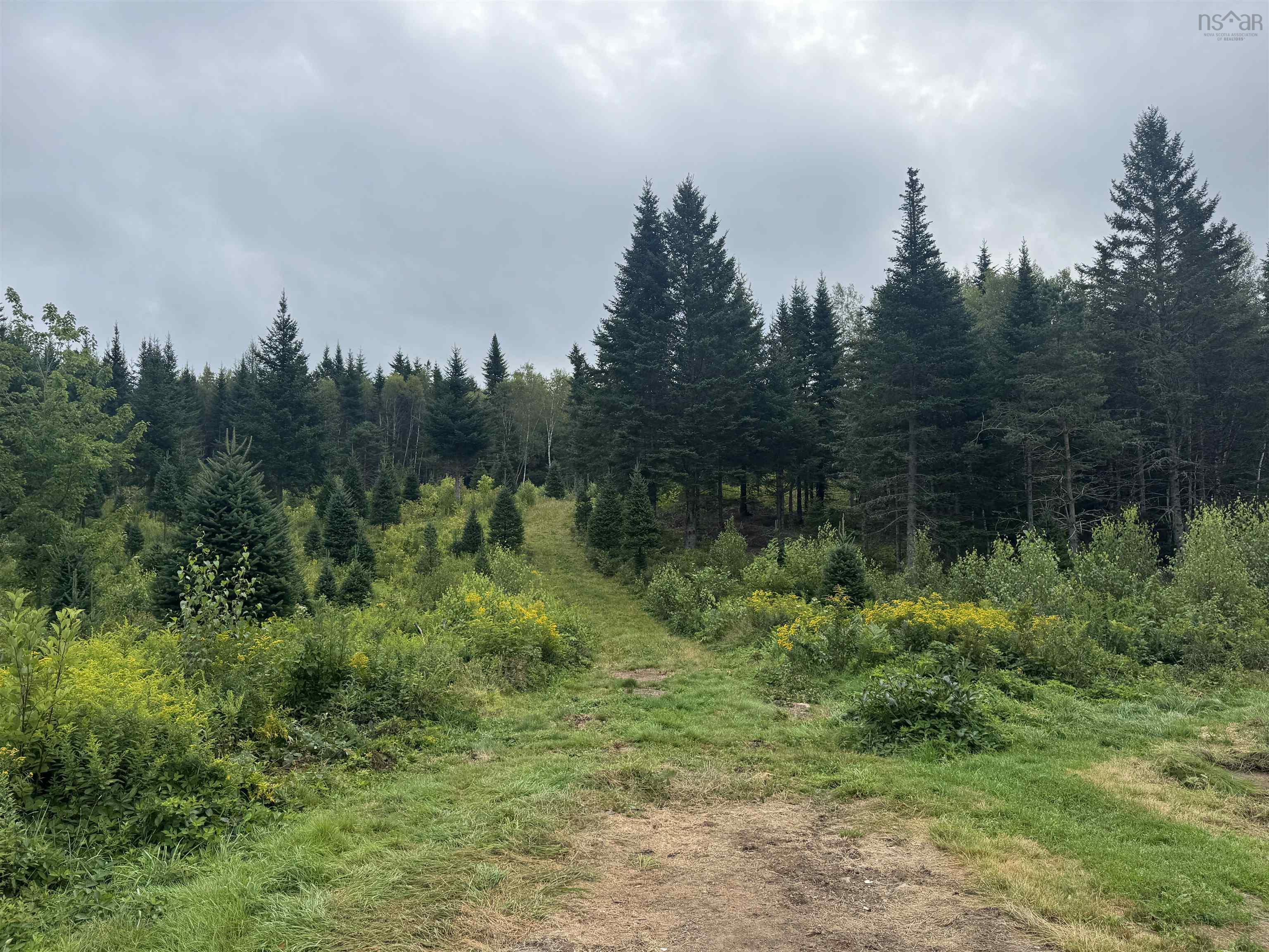 $150,000.00: Lot A Hardwood Lake Road, Lake Paul