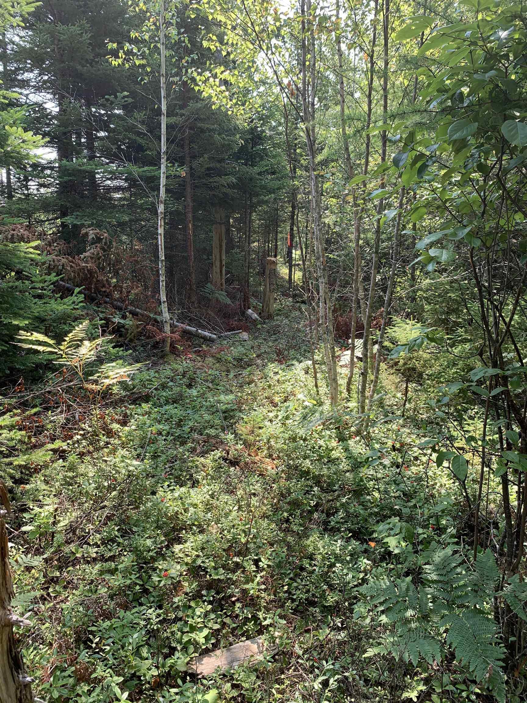 $125,000.00: Lot 4A Hunter Road, Wentworth Valley