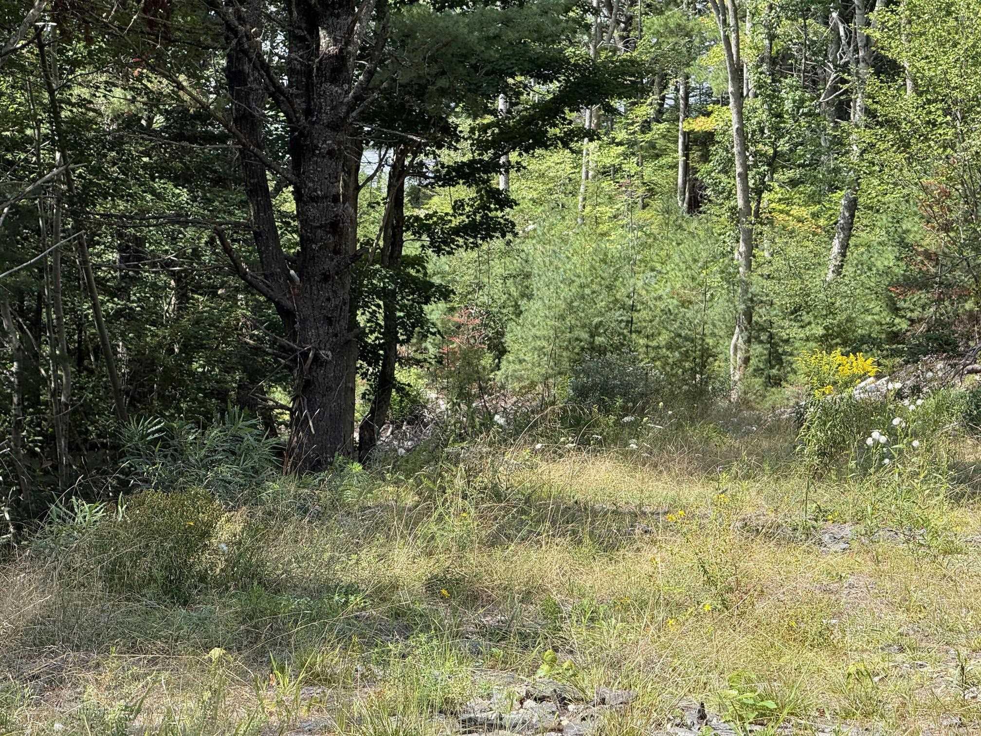 $130,000.00: Lot 109 East Clifford Road, East Clifford