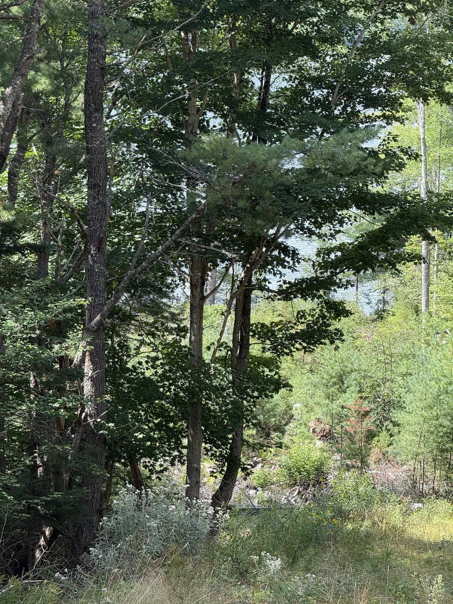 $130,000.00: Lot 109 East Clifford Road, East Clifford