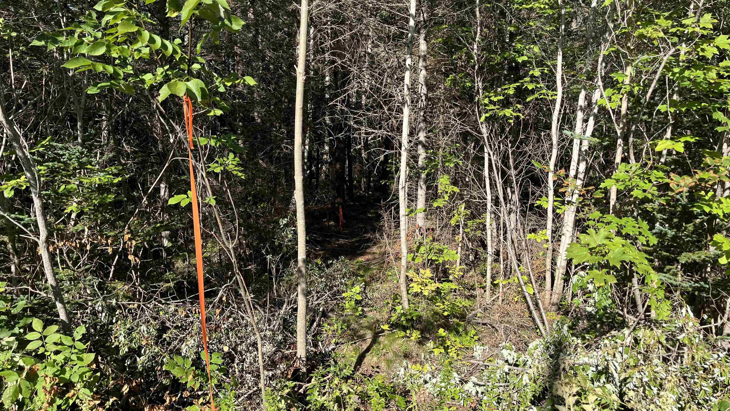 $69,900.00: Lot 3 Morden Road, Morden