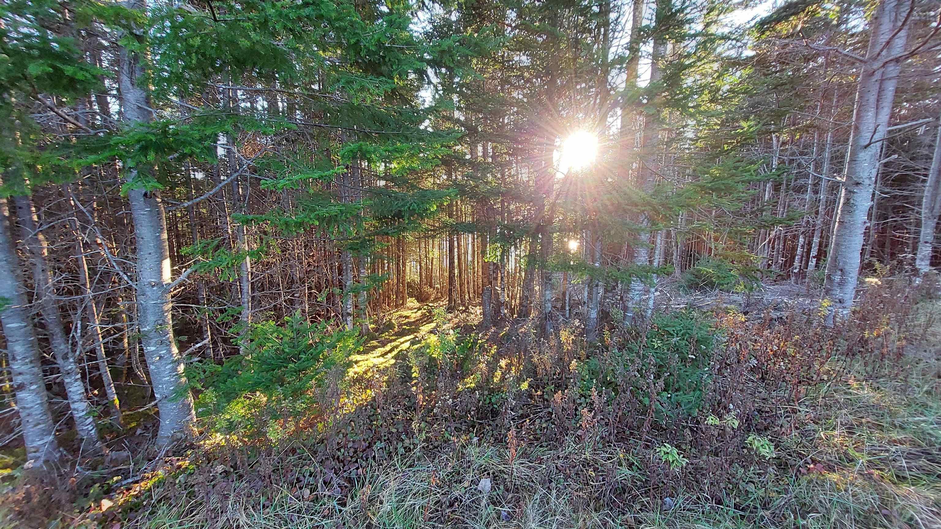 $39,500.00: Lot 20 Helmuts Lane, Cleveland
