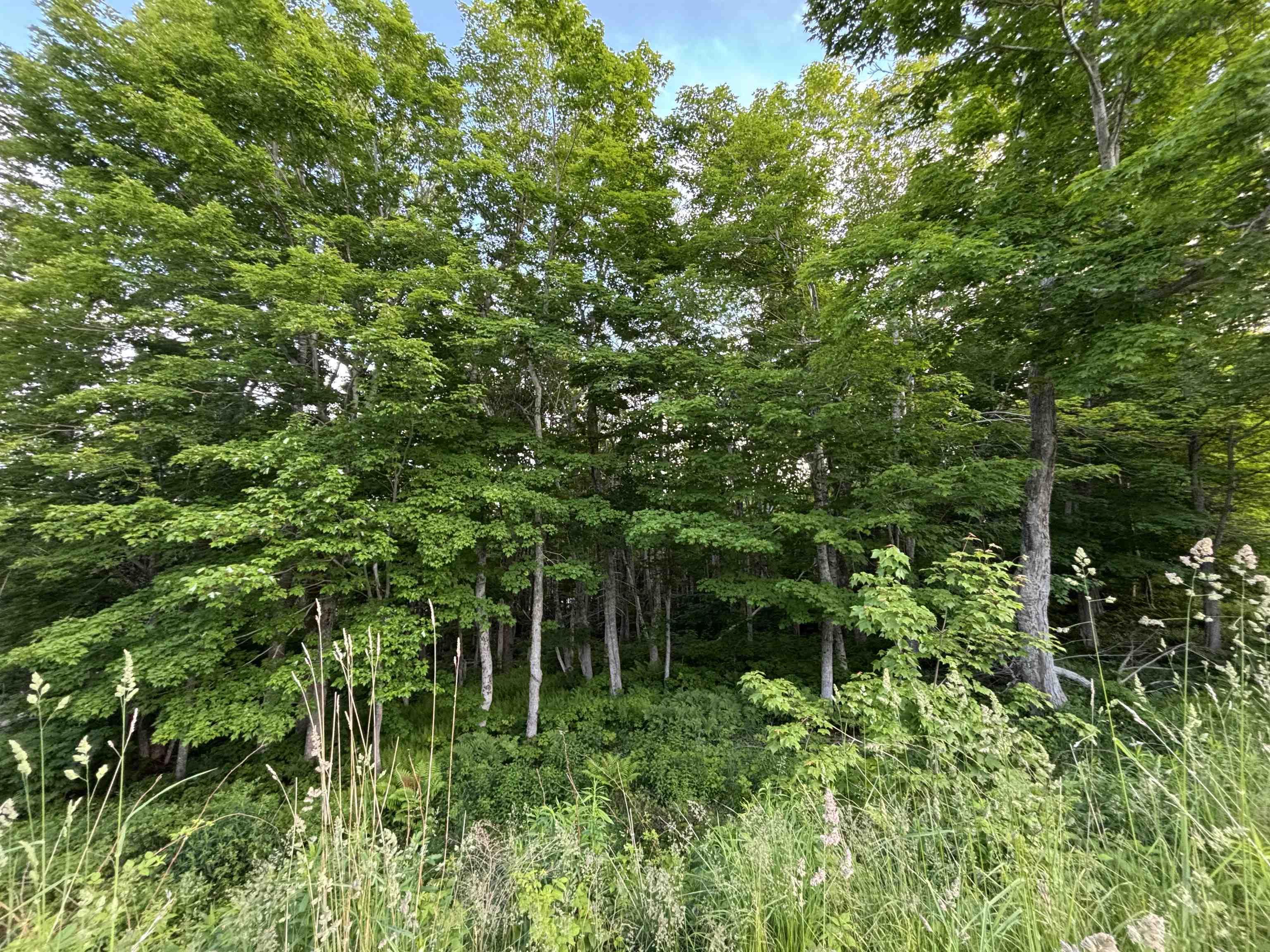 $24,900.00: 25 Parkland Place, Dalem Lake